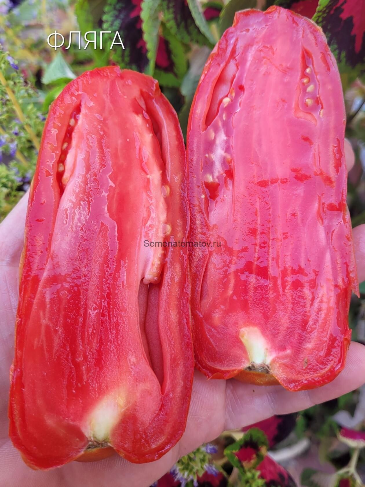 La Flappa Фляга Италия — изображение 3