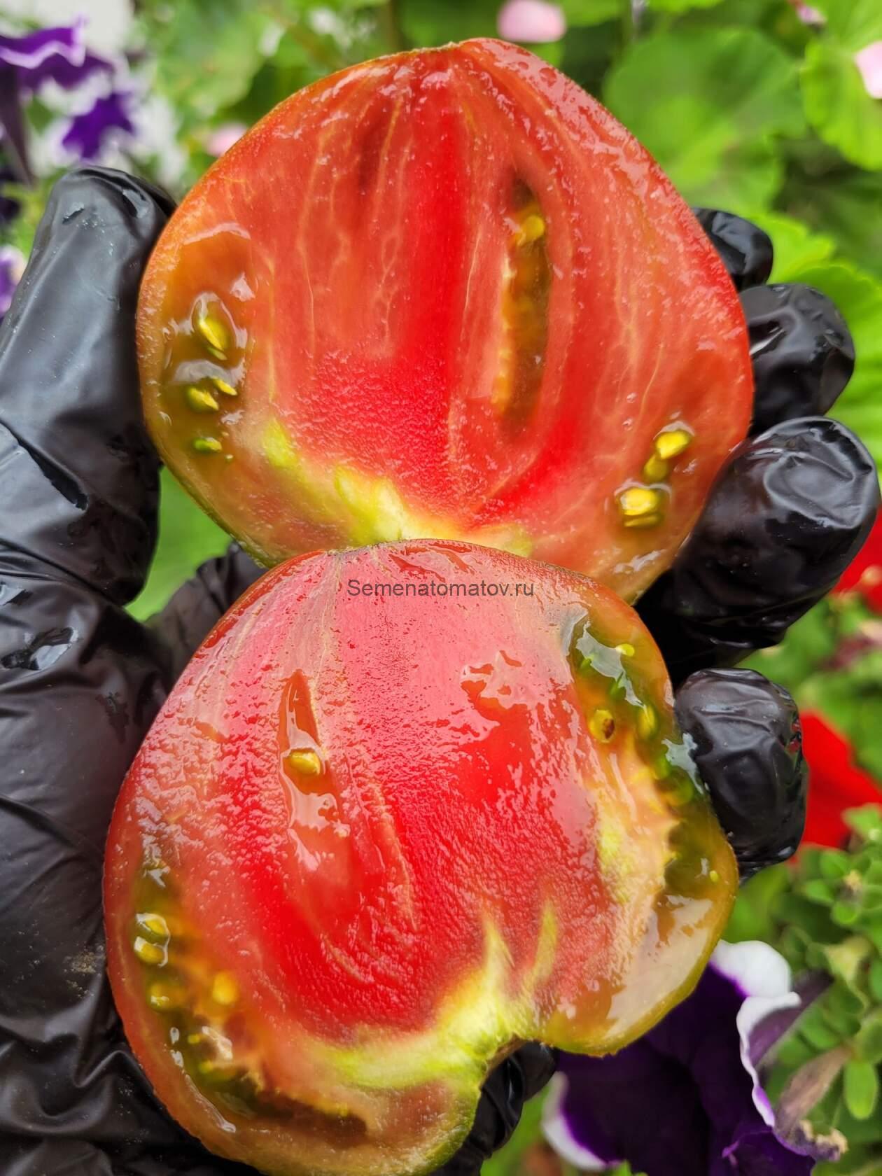 Dwarf Chocolate Heartthrob Гном Шоколадный Сердцеед — изображение 3