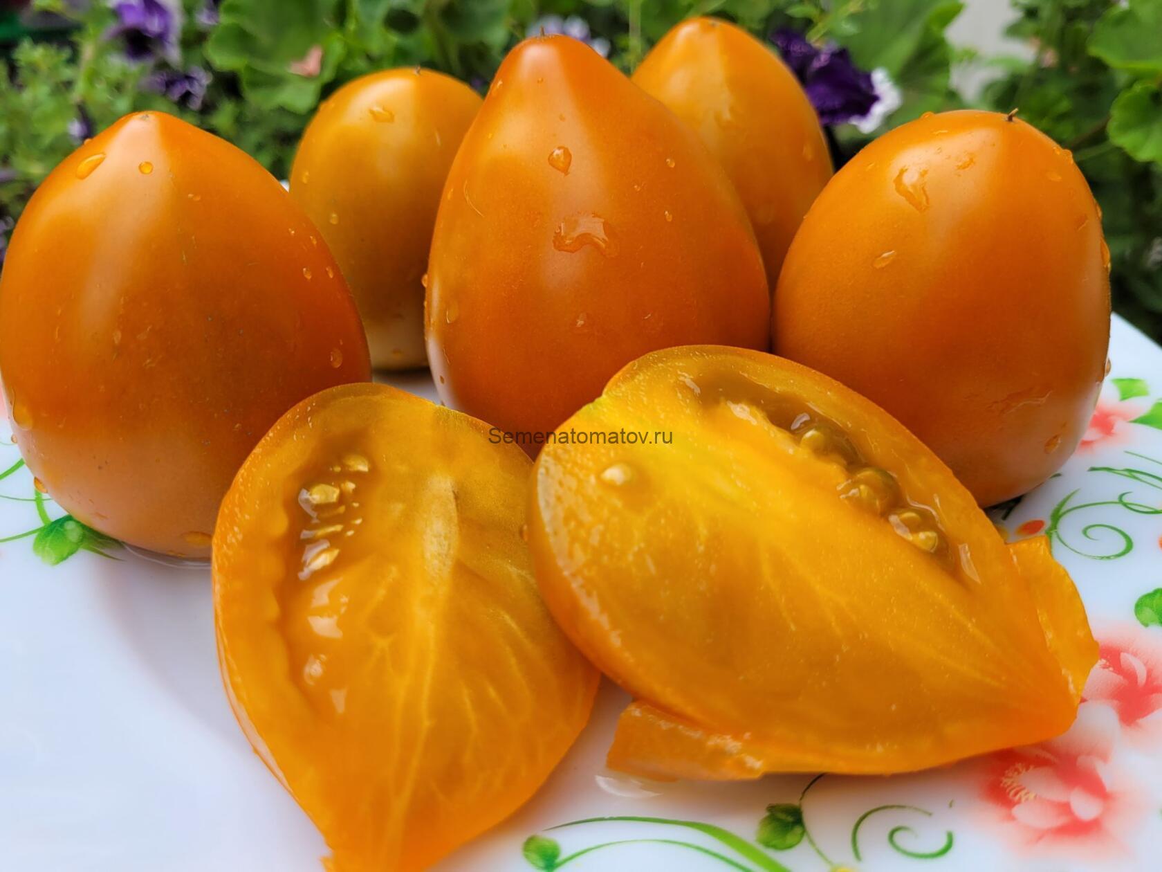 Ореховая Слива — изображение 2