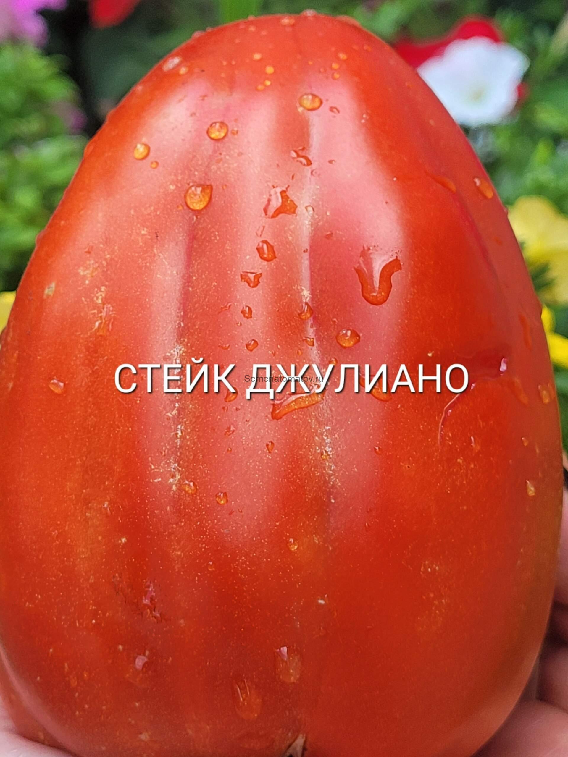 Cuore di Bue Bistecca San Giuliano Стейк Сердца Быка из Сан Джулиано 2м 200-600гр.Среднеспелый — изображение 3