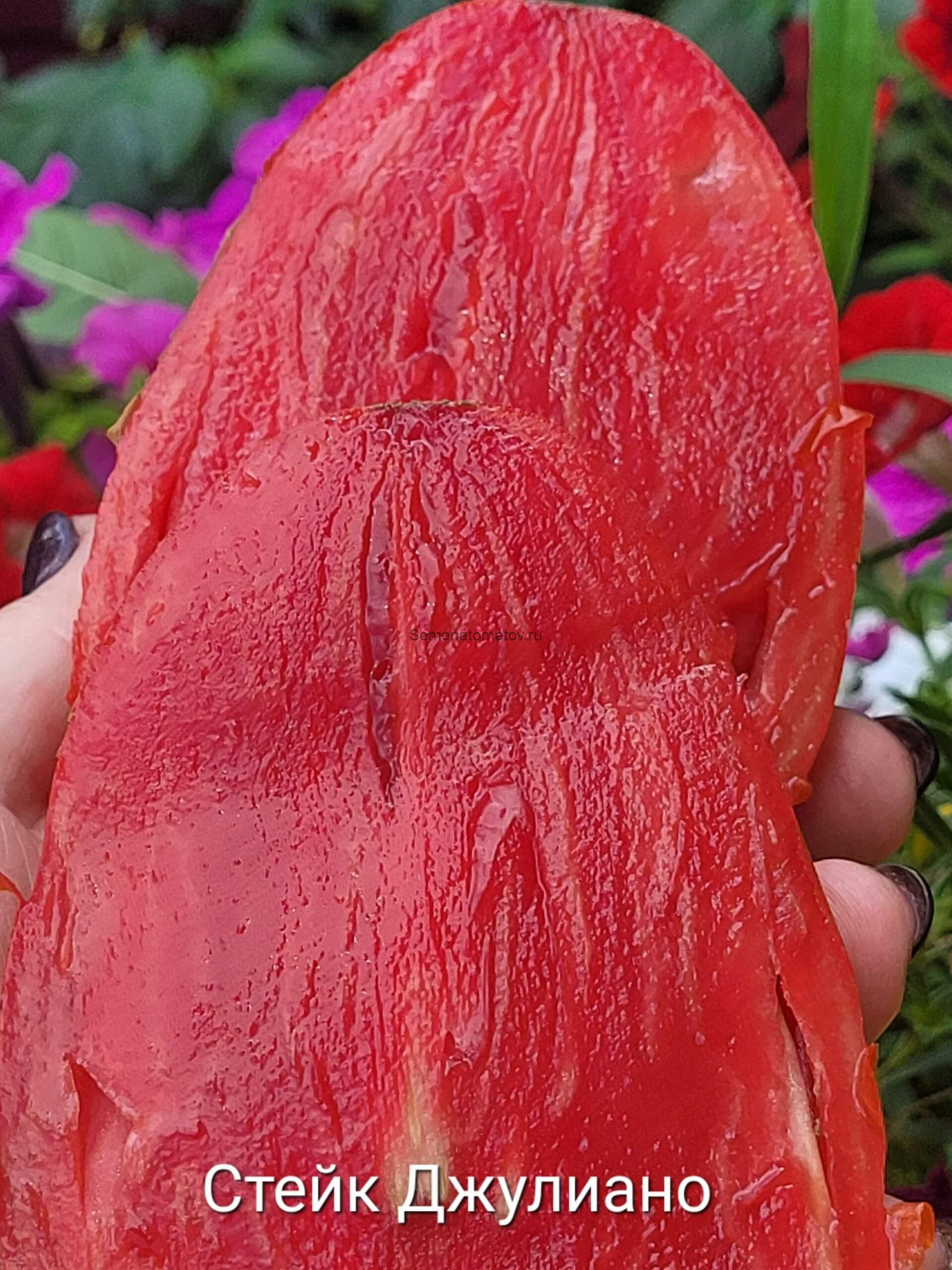 Cuore di Bue Bistecca San Giuliano Стейк Сердца Быка из Сан Джулиано 2м 200-600гр.Среднеспелый — изображение 2