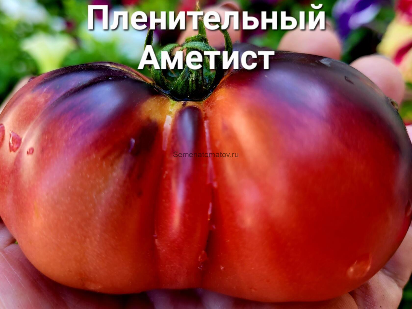 Набор Моя Селекция №1 — изображение 2
