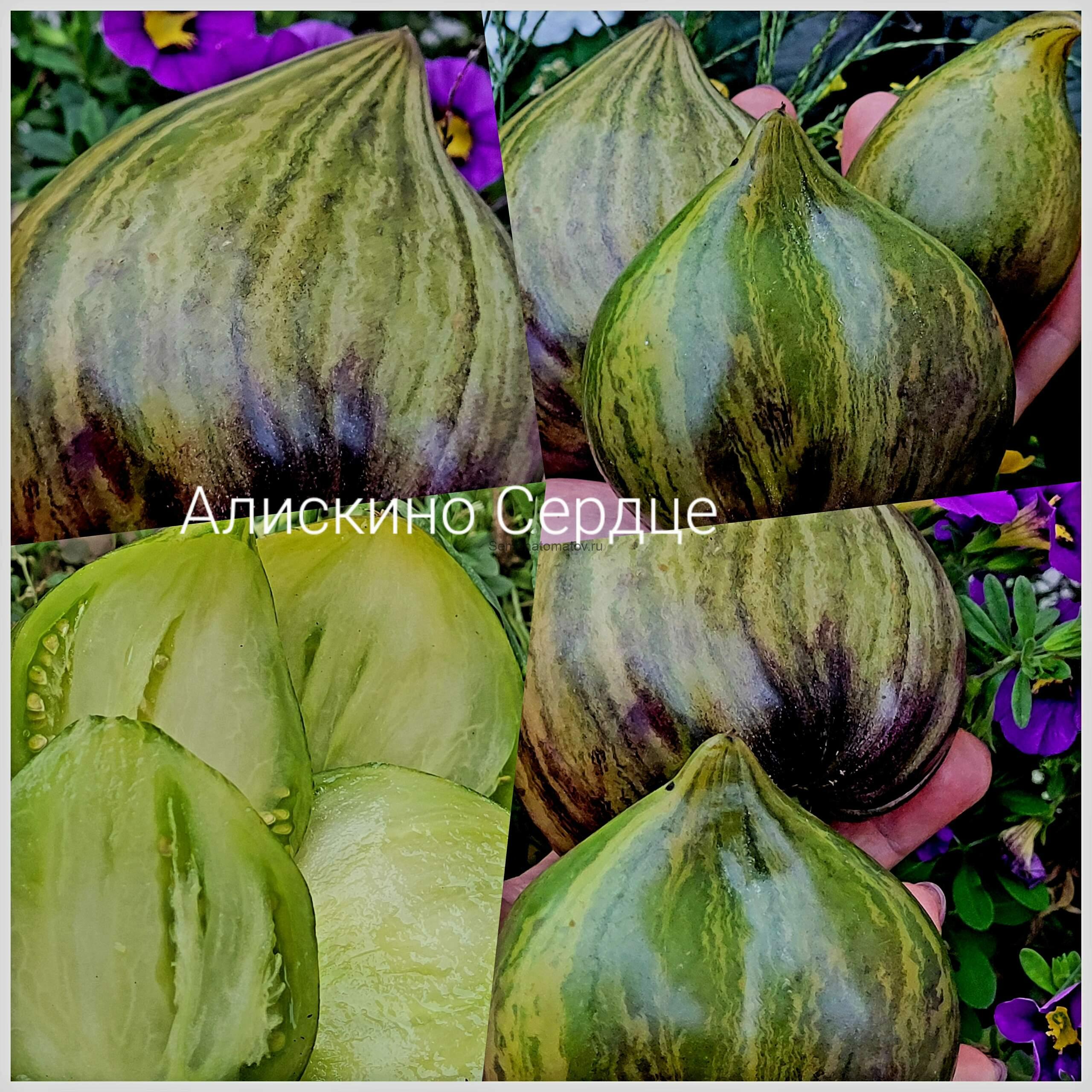 Алискино Сердце 2м среднеспелый 200-400гр — изображение 7