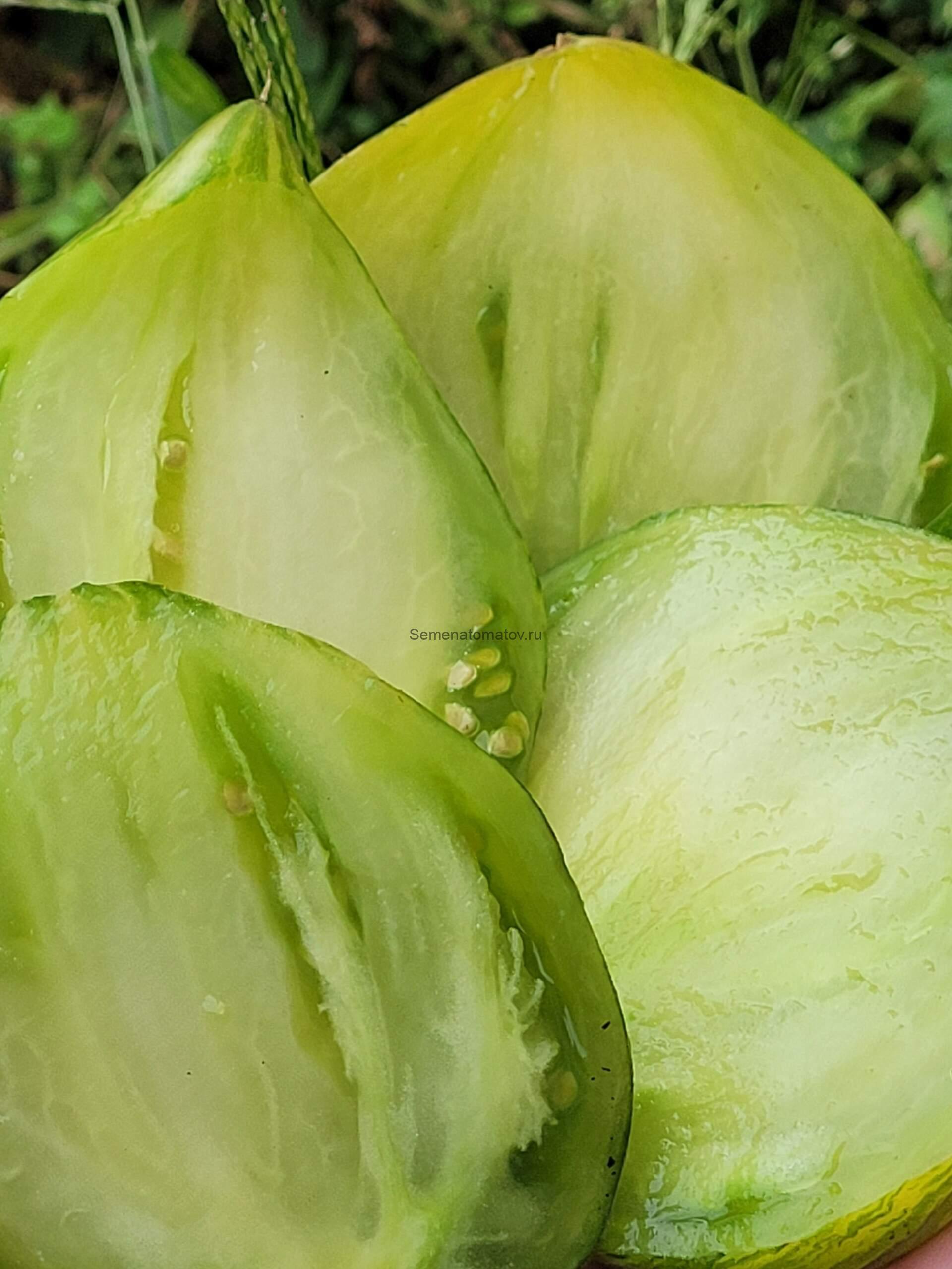 Алискино Сердце 2м среднеспелый 200-400гр — изображение 5