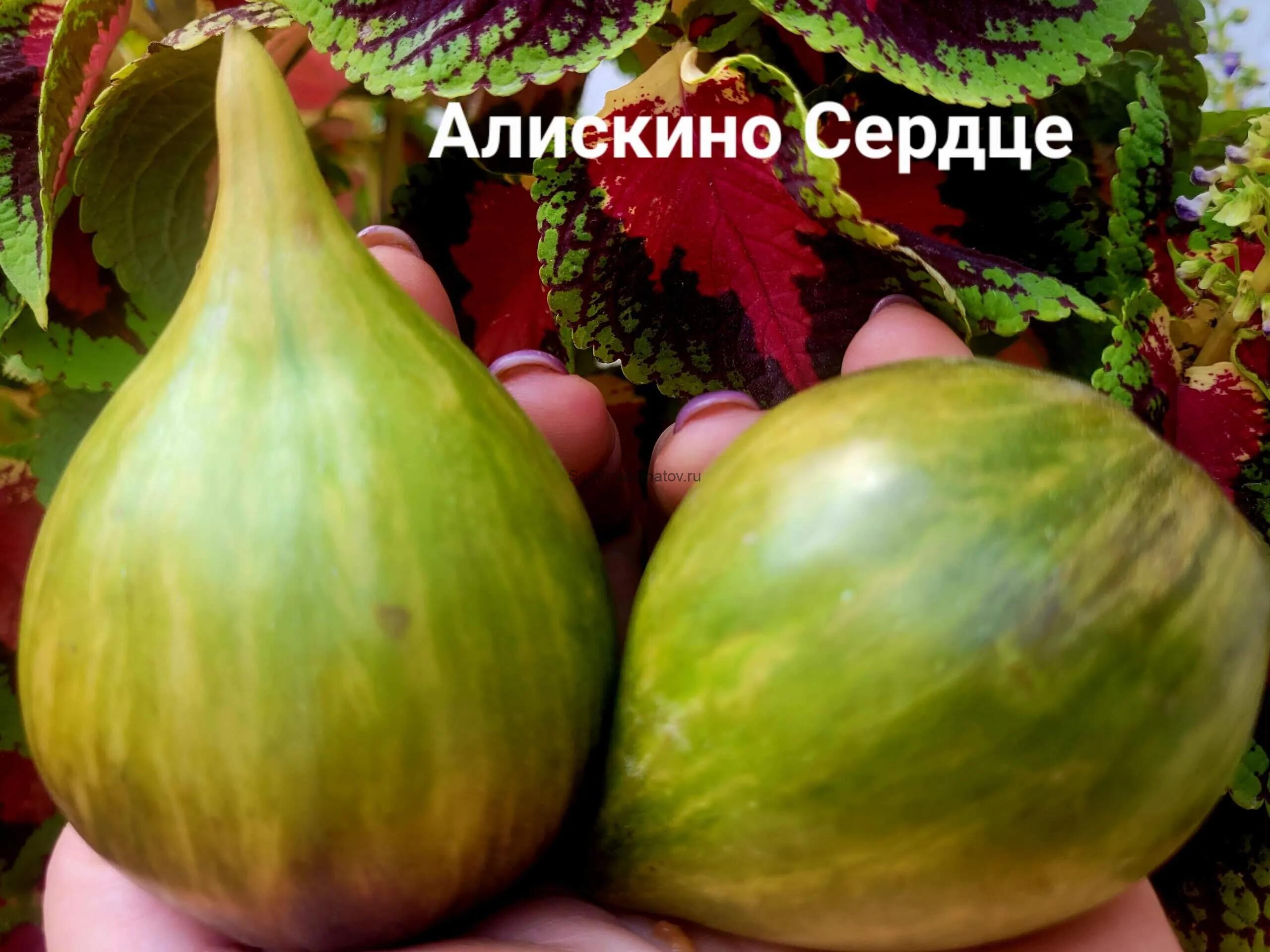 Алискино Сердце 2м среднеспелый 200-400гр — изображение 3