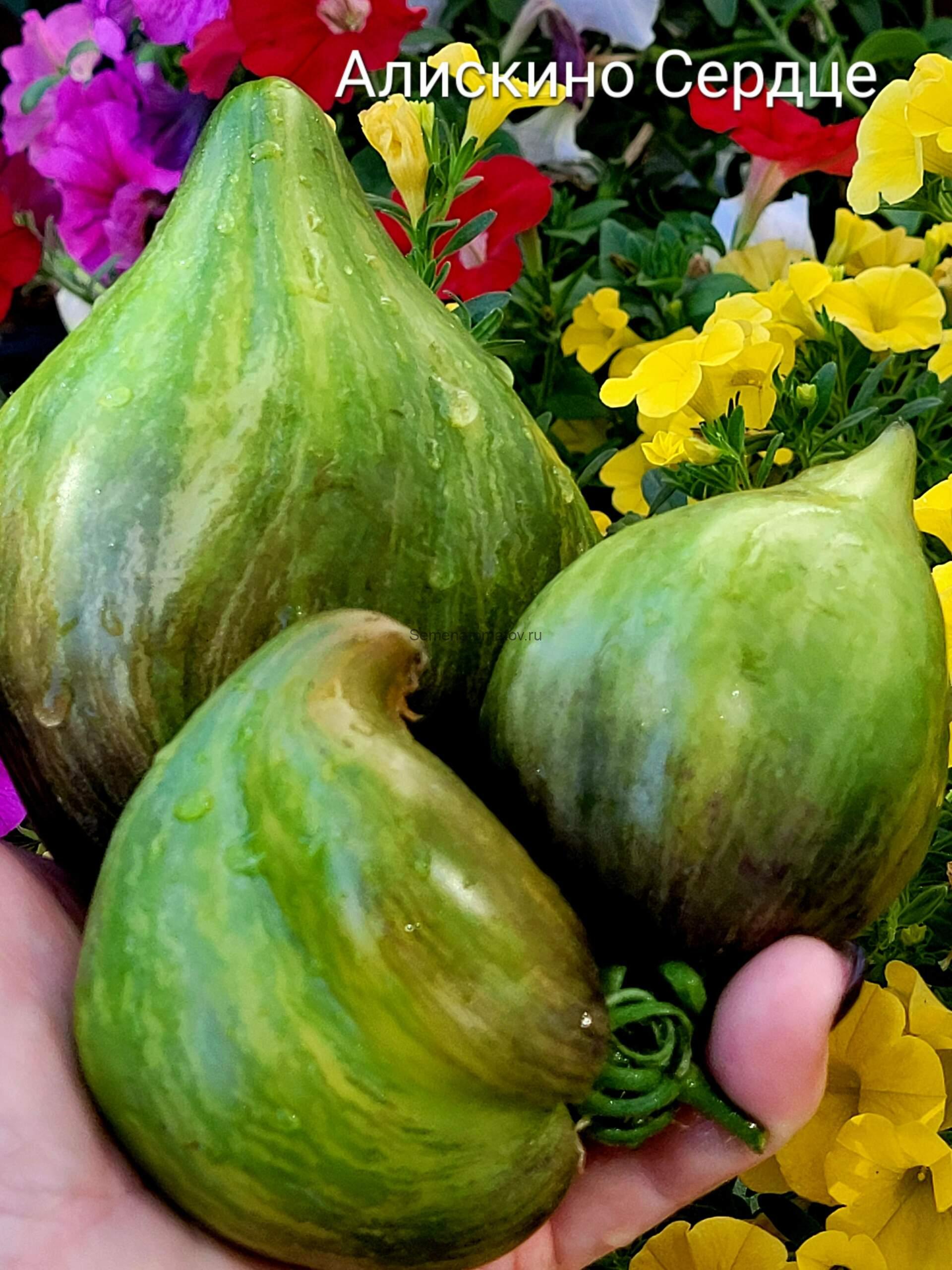 Алискино Сердце 2м среднеспелый 200-400гр