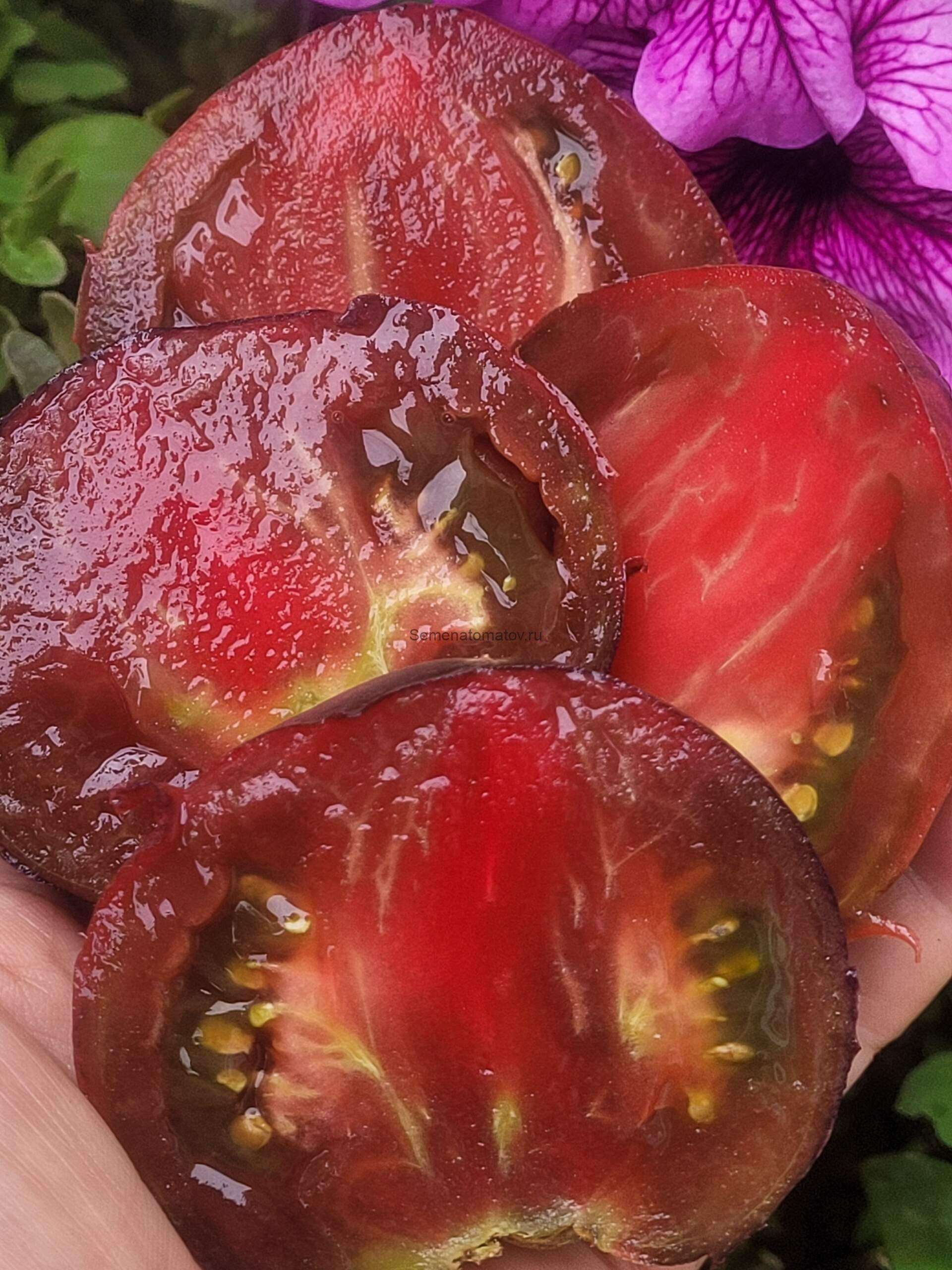 Auermuom Apgue (Ауэрмуом Апге) 1.8м средне-ранний 200-500гр — изображение 3