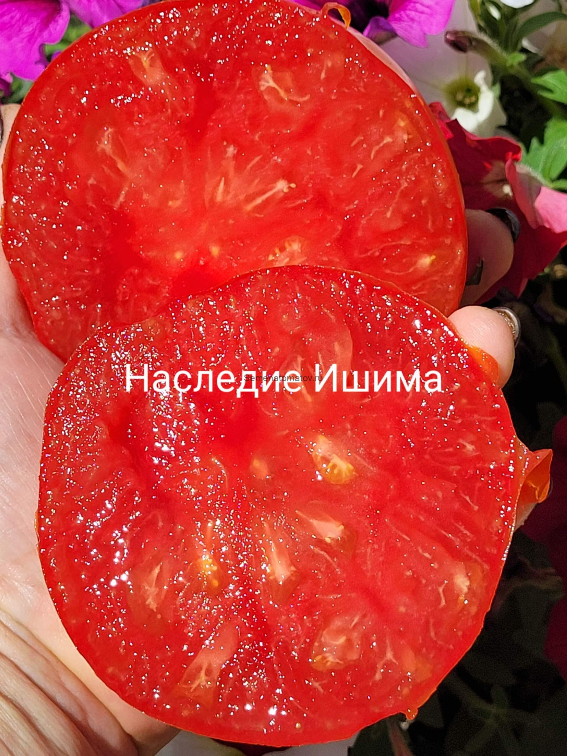 Moștenirea lui Ichim (Наследие Ишима) 2м. среднеспелый 300-600гр — изображение 2