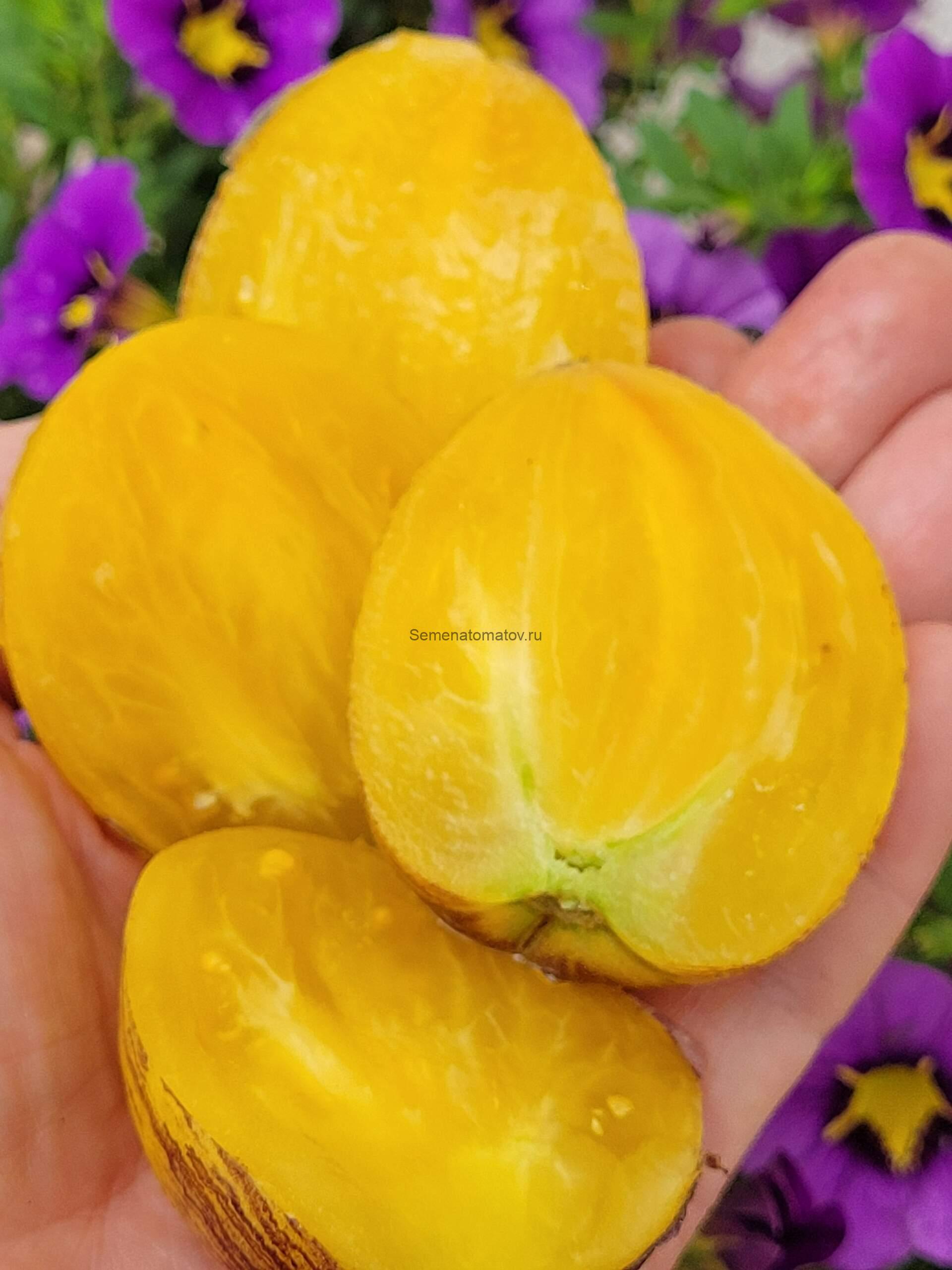 Kayleigh Anne / Кейли Энн 2м.Среднеспелый 100-200гр — изображение 3