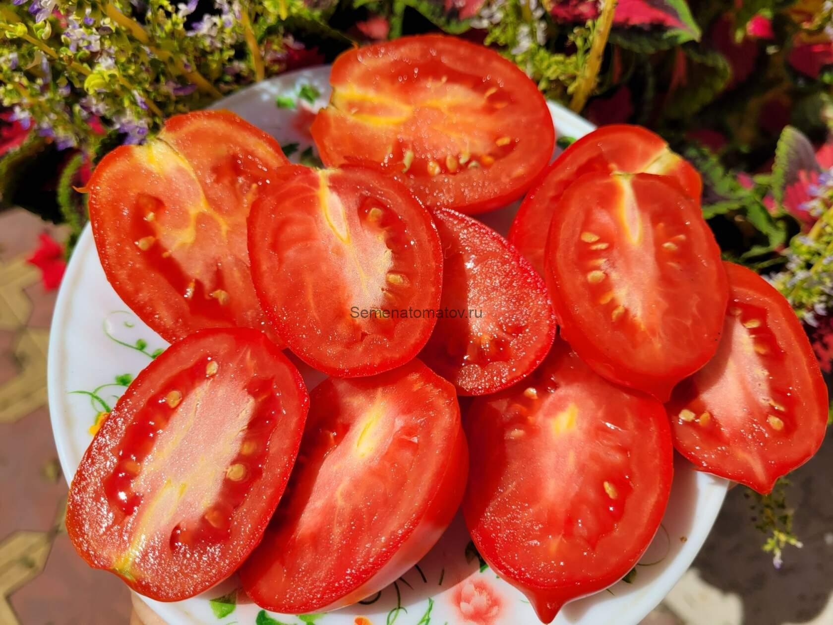 Коконат Бич 50см.среднеспелый 50-100гр — изображение 2