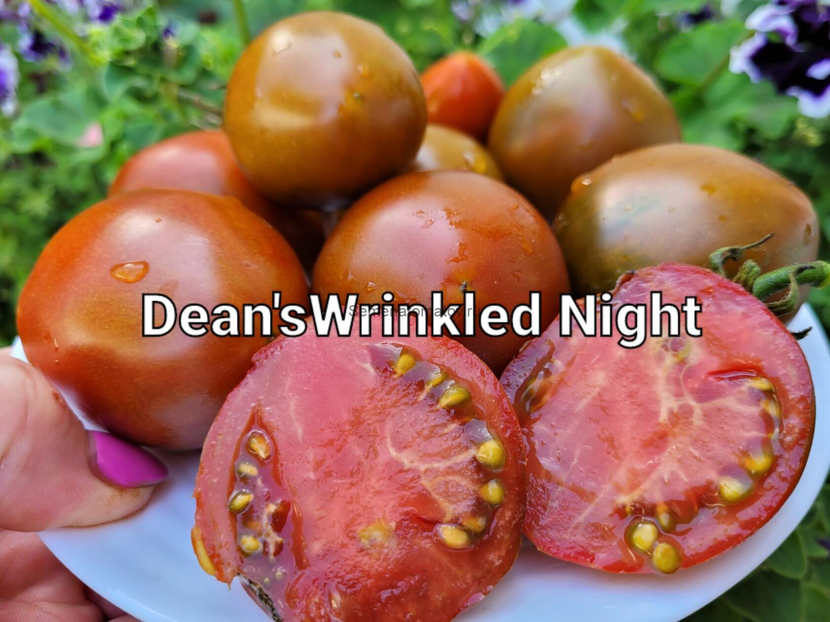 Dean's Wrinkled Night Морщинистая Ночь Дина 1м среднеспелый 50-80гр