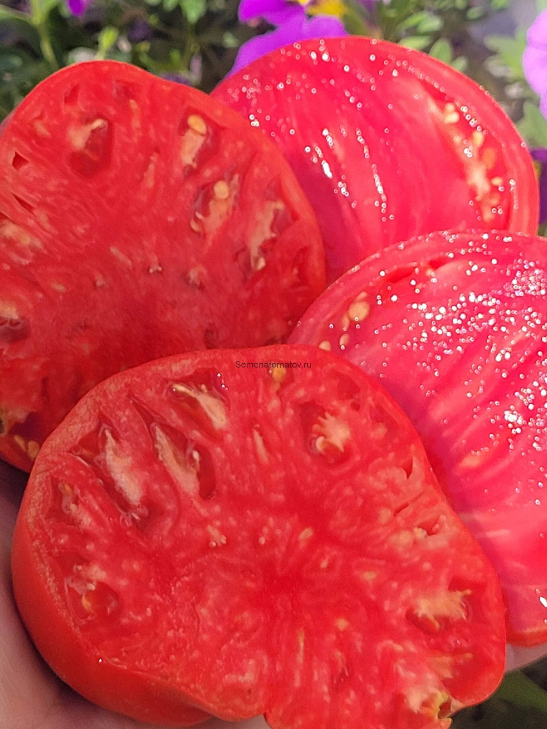 Руфа среднеранний,1.8м 300-600гр — изображение 2