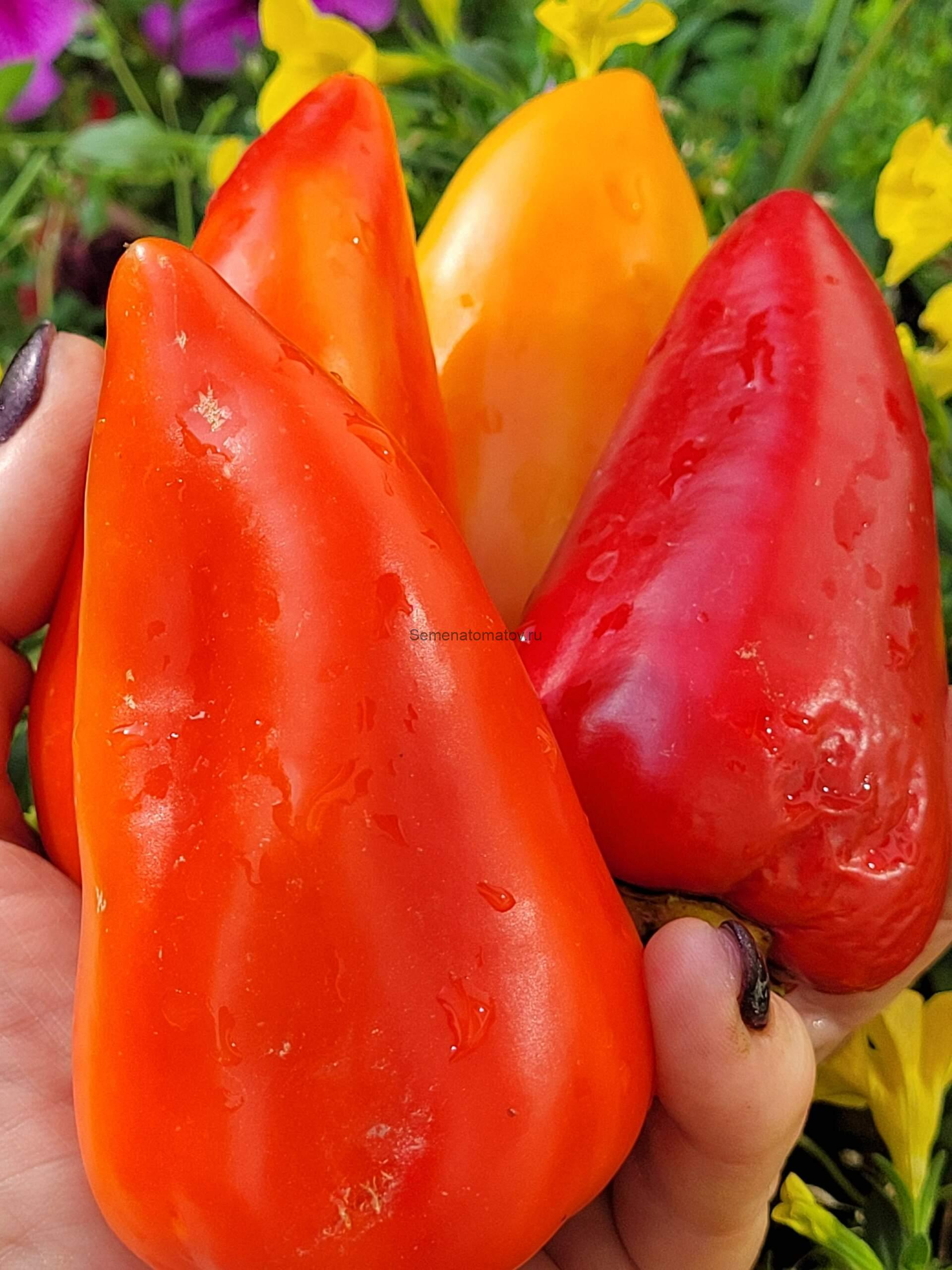 Алтайский Плодовитый