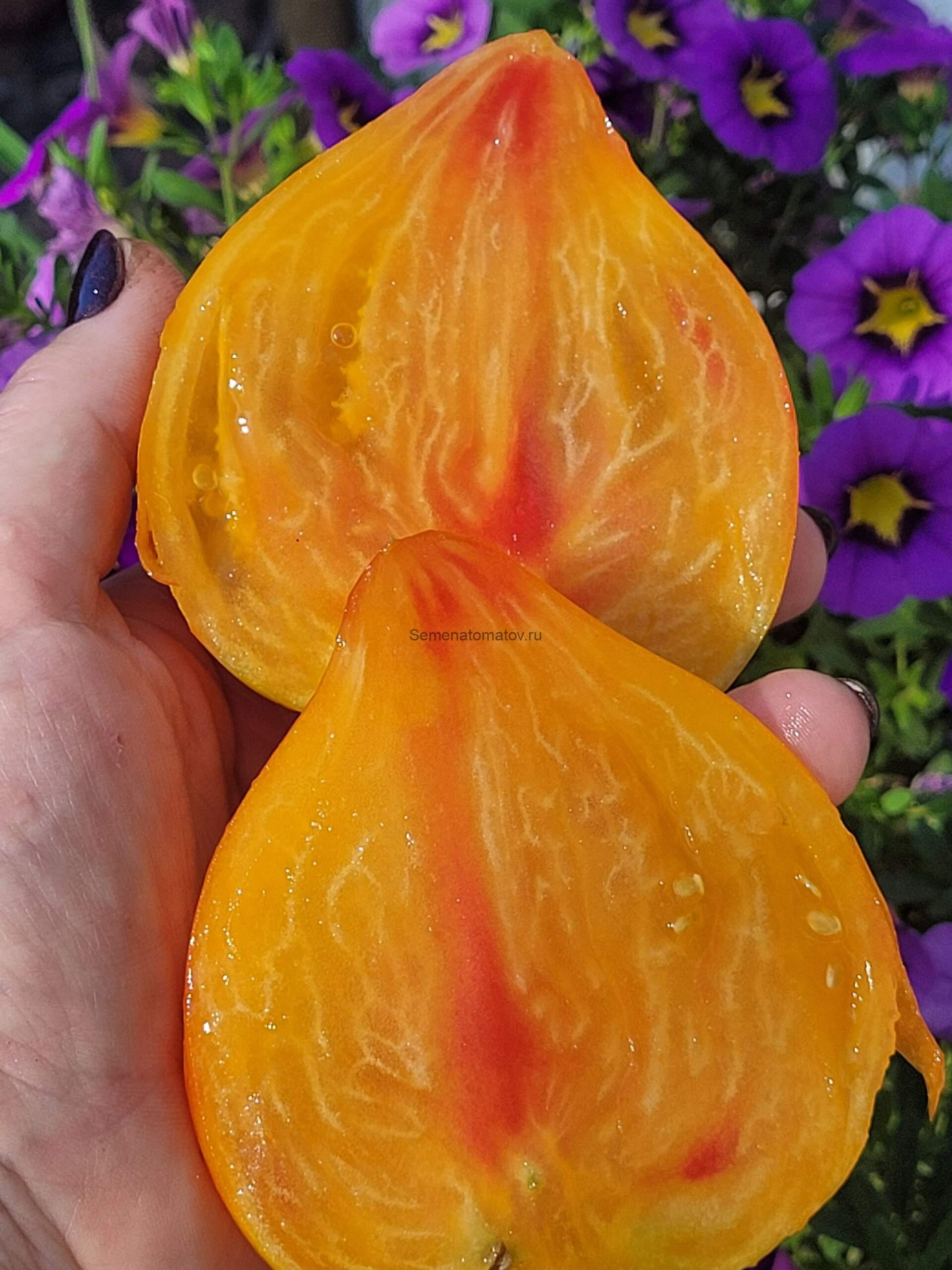 Ананасная Клубника 1.8м среднеспелый 200-400гр — изображение 2