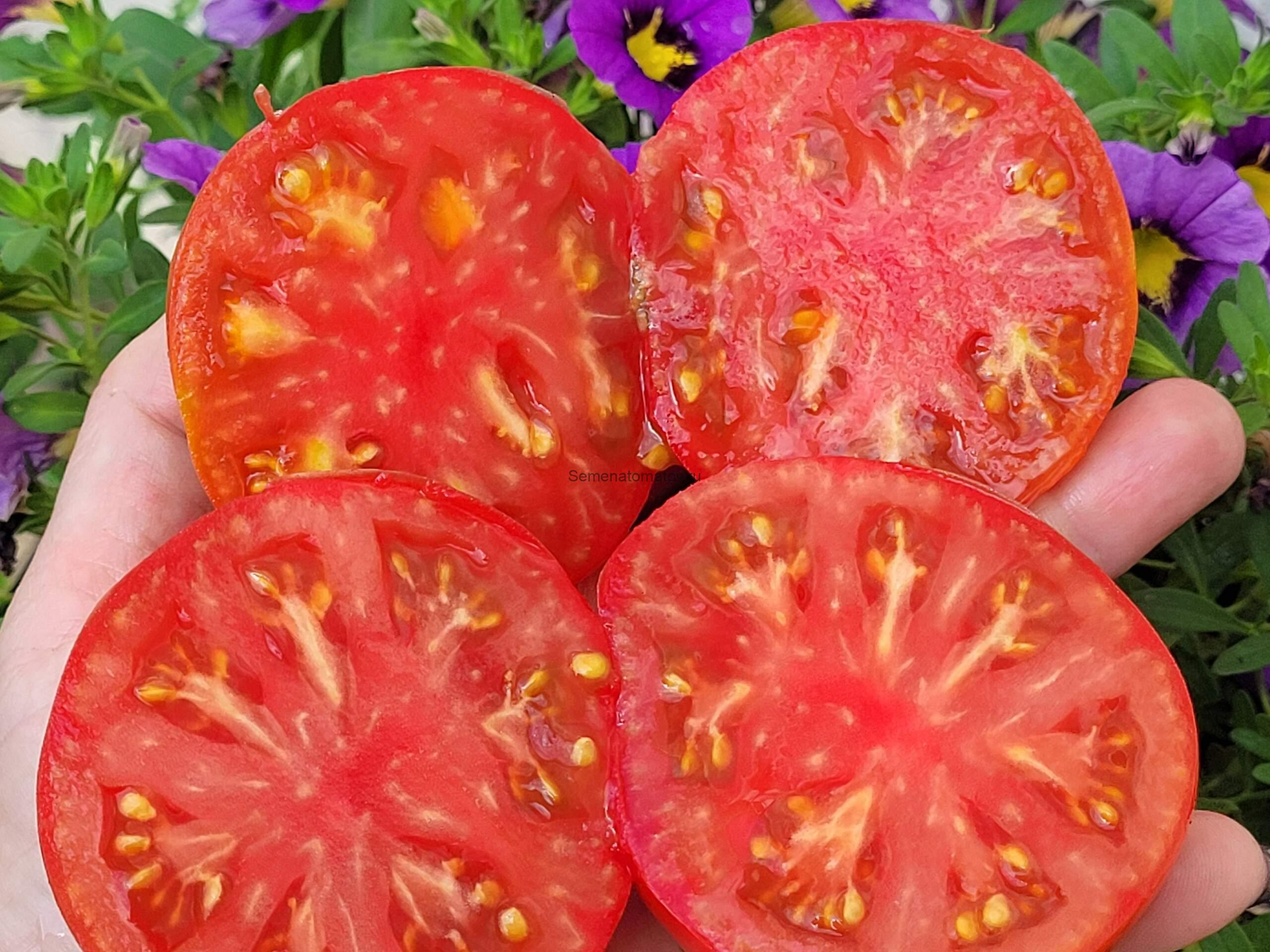 Аппетитные Щечки — изображение 2