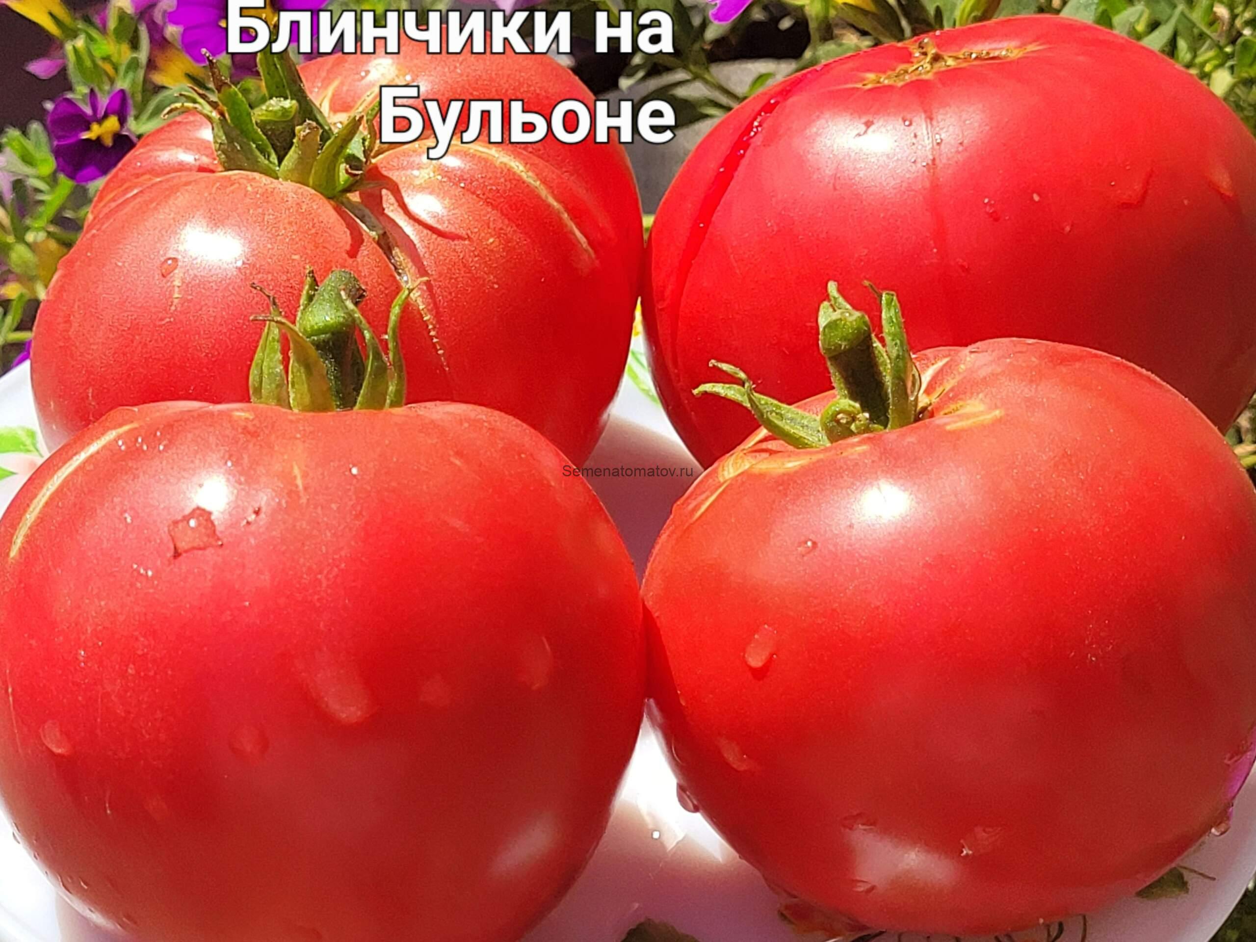 Crețe de Bulion (Блинчики на бульоне), Румыния