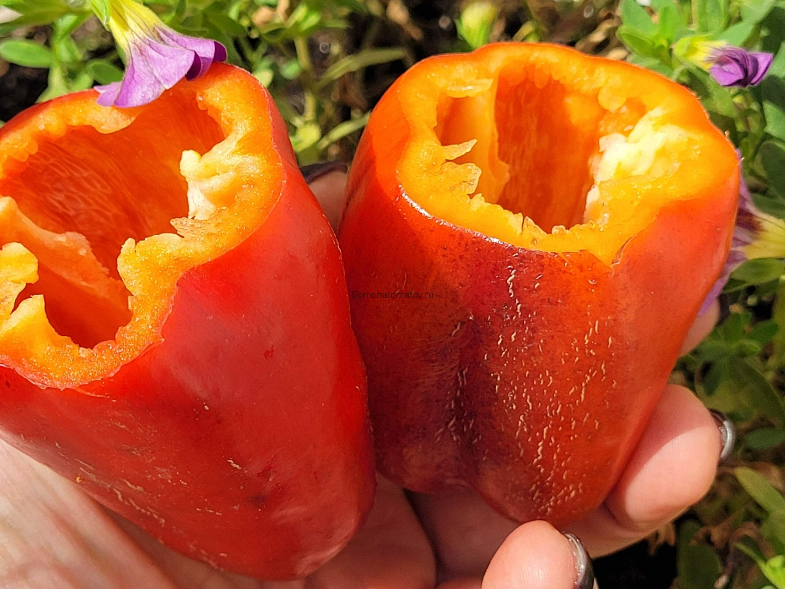 Ветка Сирени — изображение 2