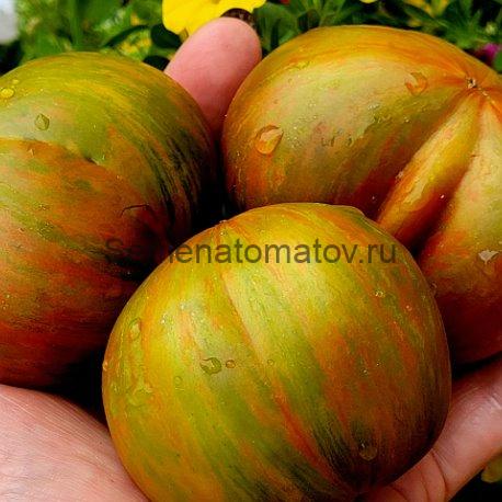 Все Краски Мира