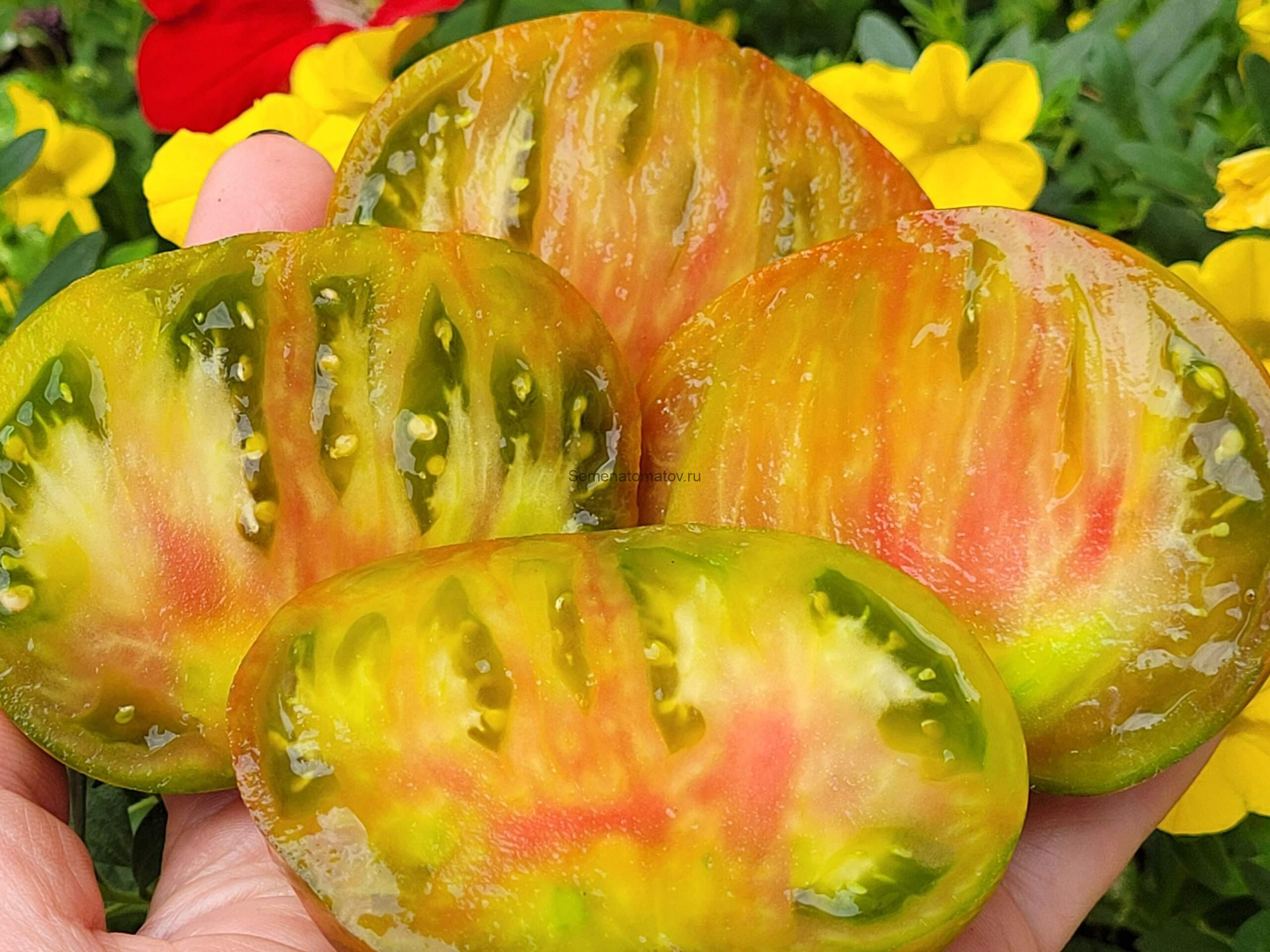 Все Краски Мира — изображение 2