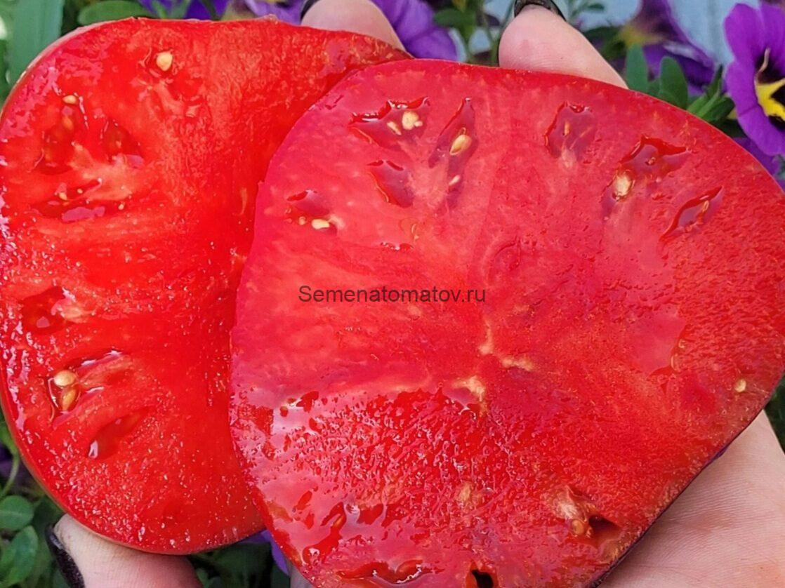 Гаробо ( Garobo Tomat, Сербия) — изображение 3