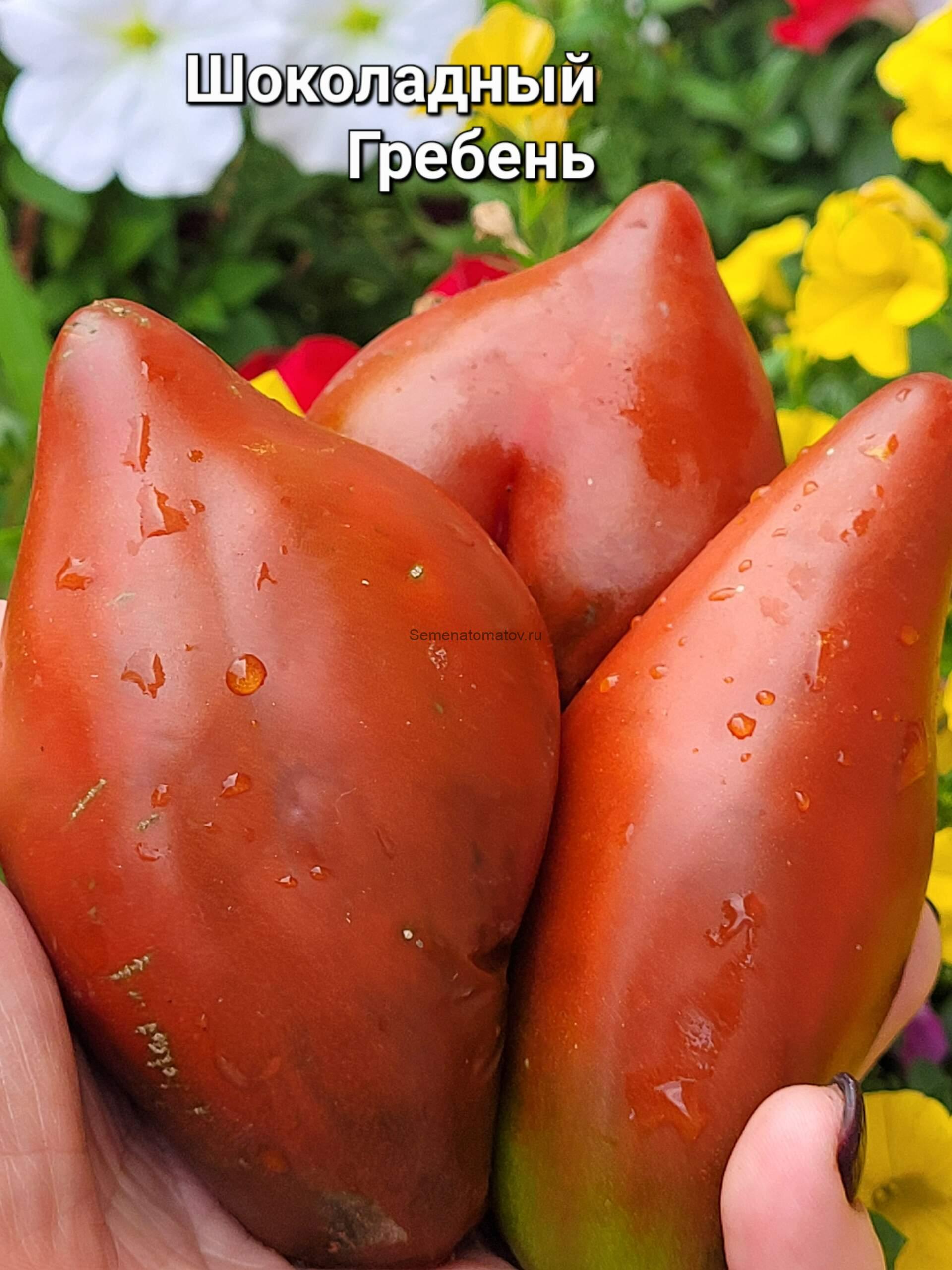 Cresta di Fuoco choco / Огненный гребень Шоколадный (Свеча) — изображение 3