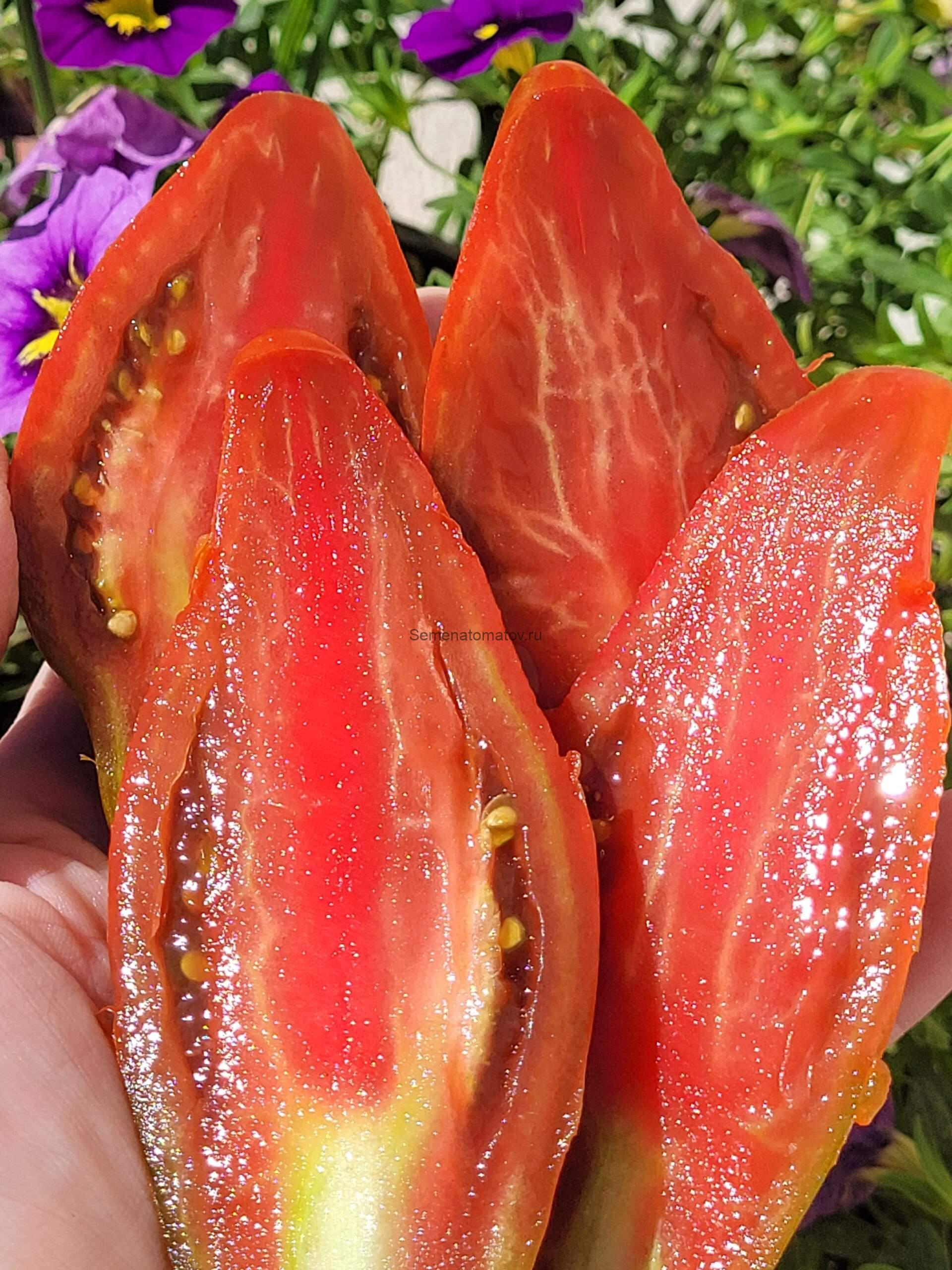 Cresta di Fuoco choco / Огненный гребень Шоколадный (Свеча) — изображение 2