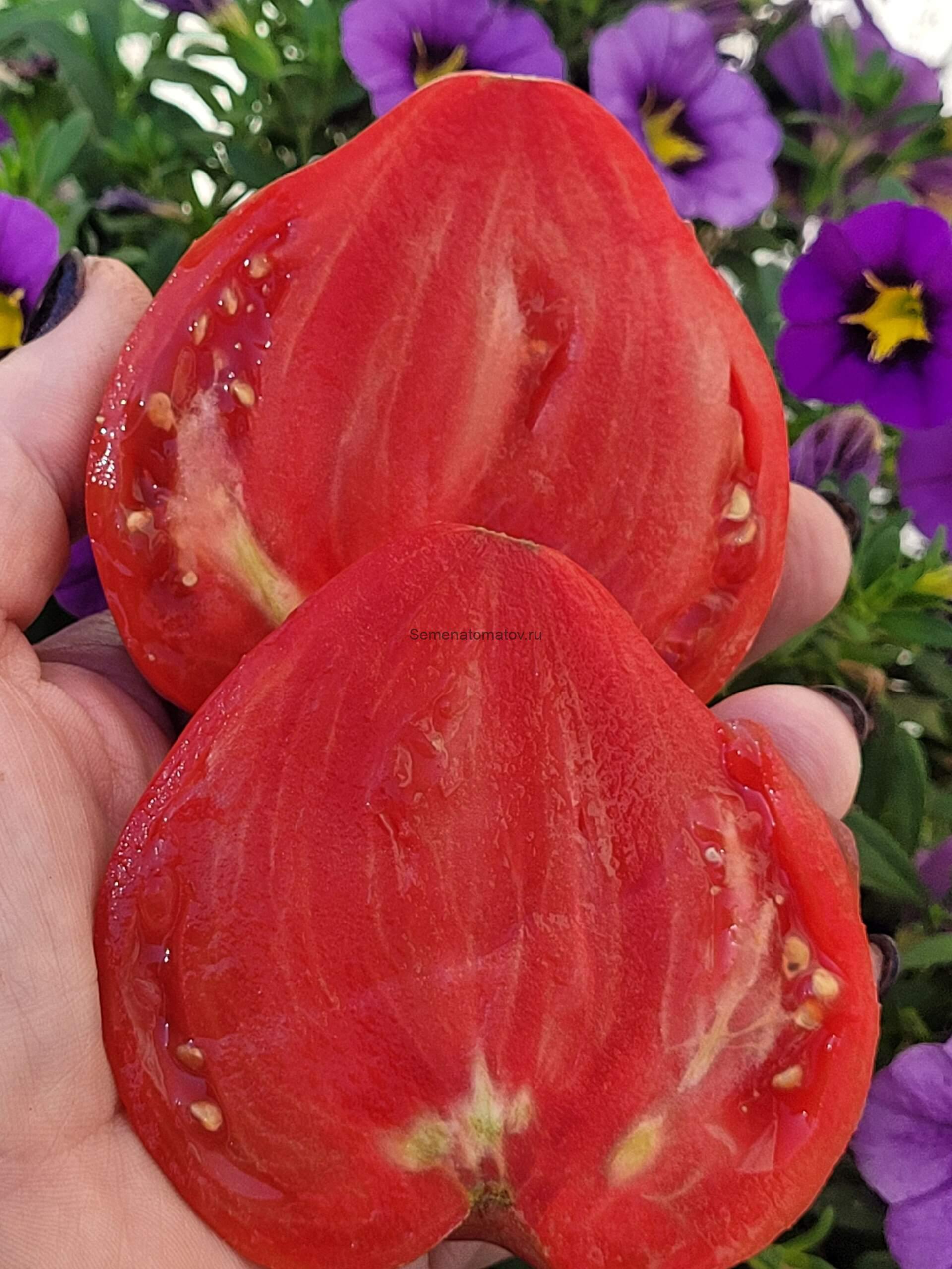 Грудь Монахини ( Mamella de Monja, Испания) — изображение 2