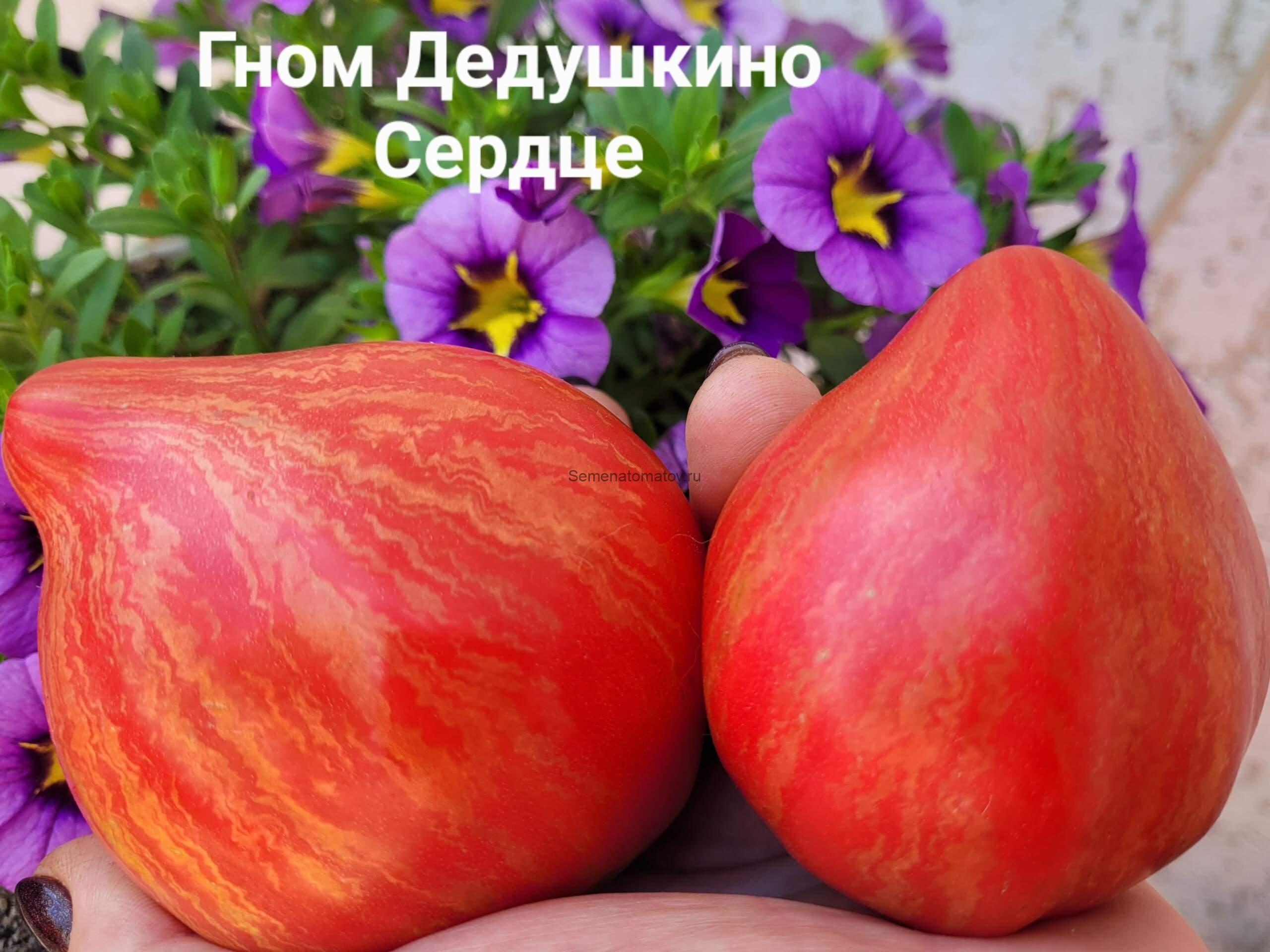 Гном Восставший Звездный Истребитель Дедушкино Сердце