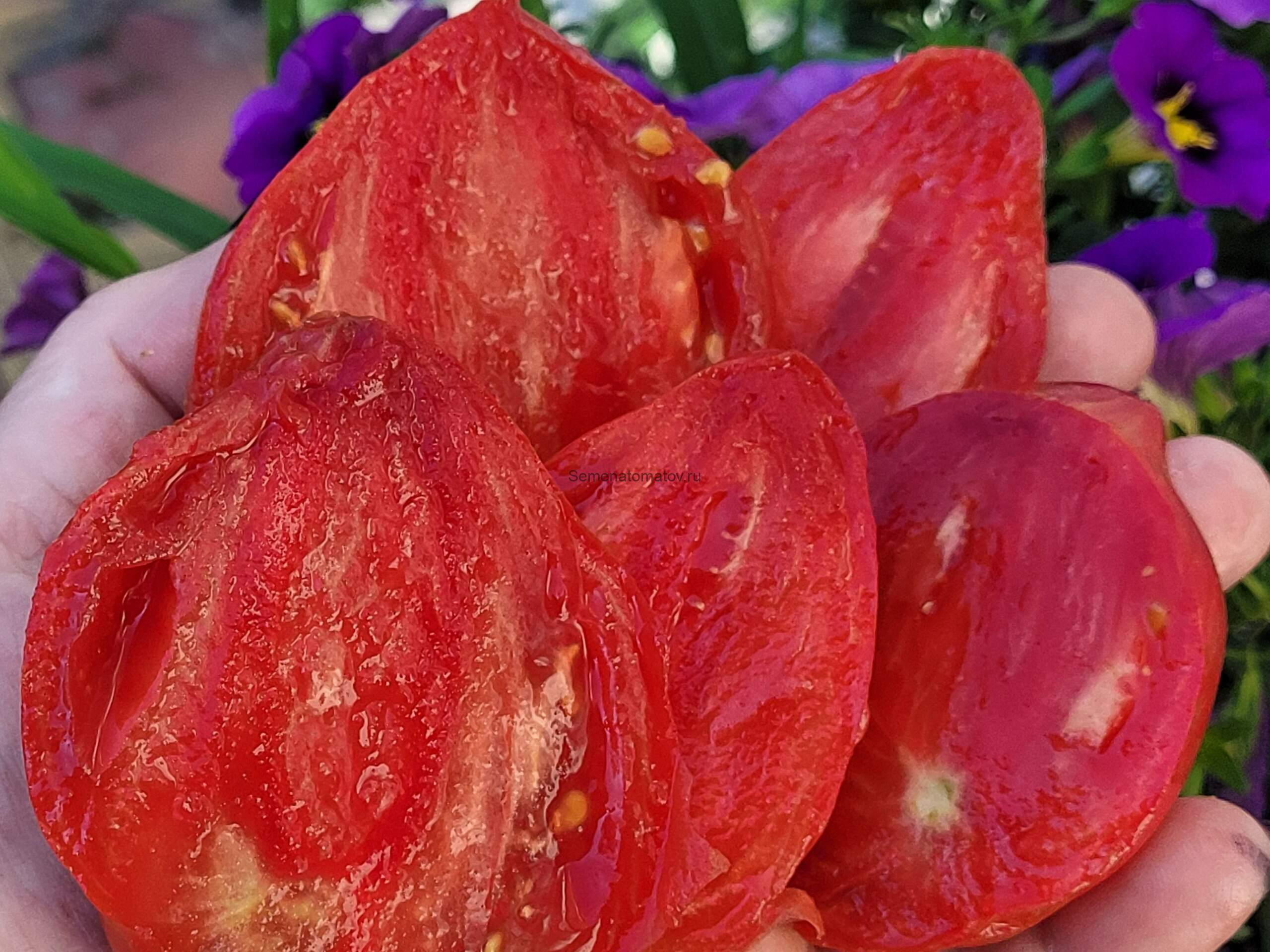 Дерево Сердец(Tree of hearts)1.7м ранний 200-300гр — изображение 3