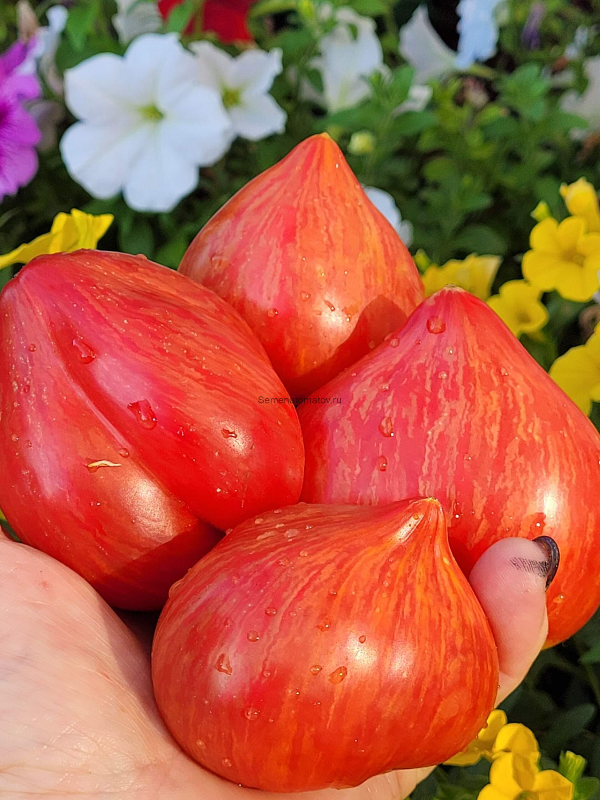 Дерево Сердец(Tree of hearts)1.7м ранний 200-300гр — изображение 2