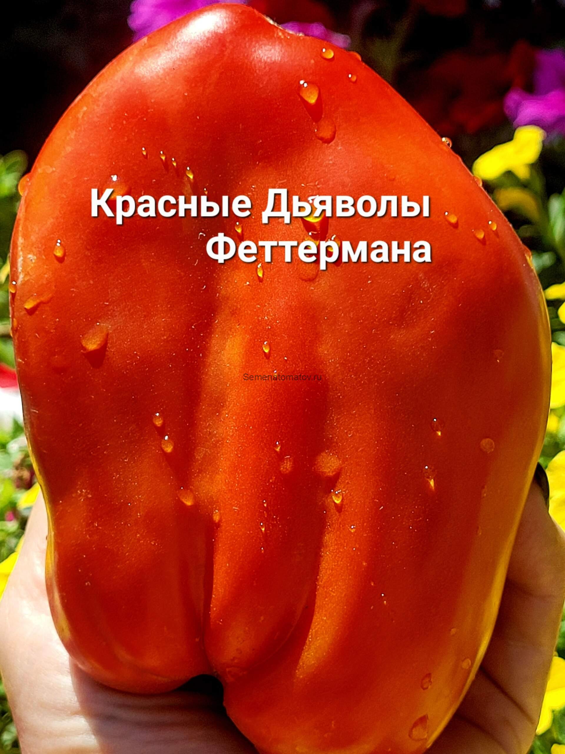 Fetterman Red Devils ( Красные дьяволы Феттермана), Франция