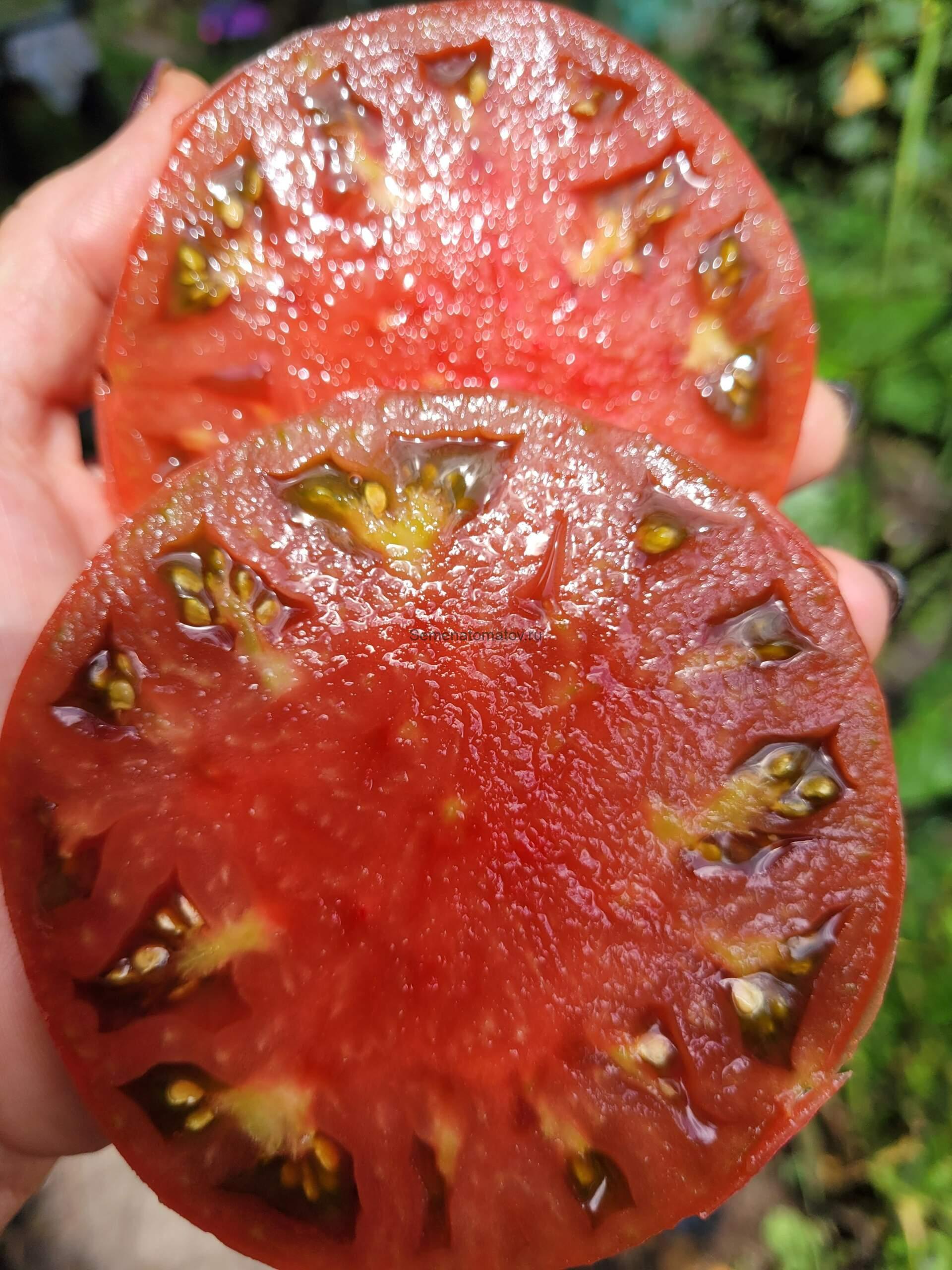 Morado de la Cabrеra (Фиолетовый из Кабреры),Италия — изображение 2