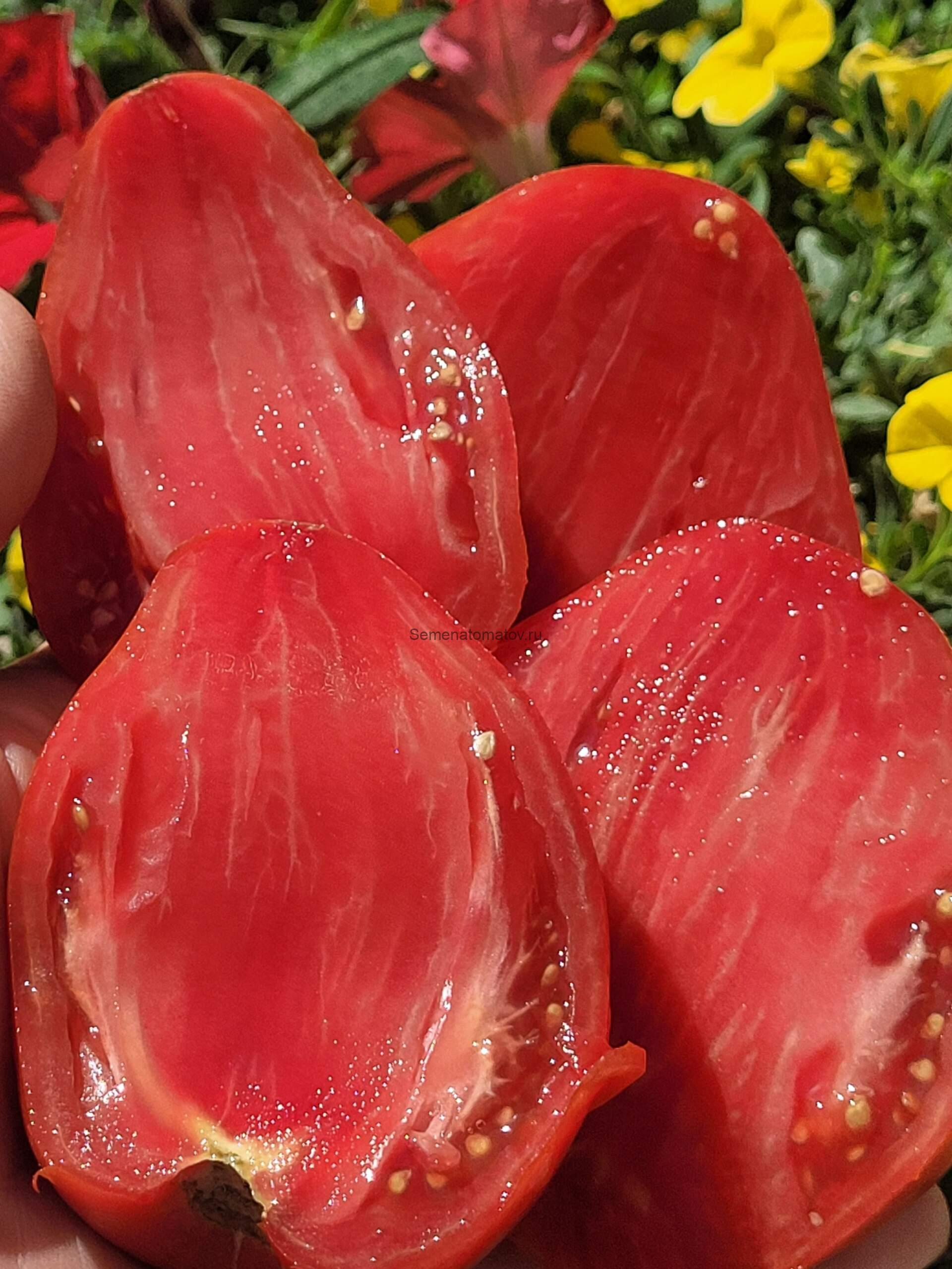 Inima de Bou Suceava (Бычье сердце Сучавы) — изображение 2