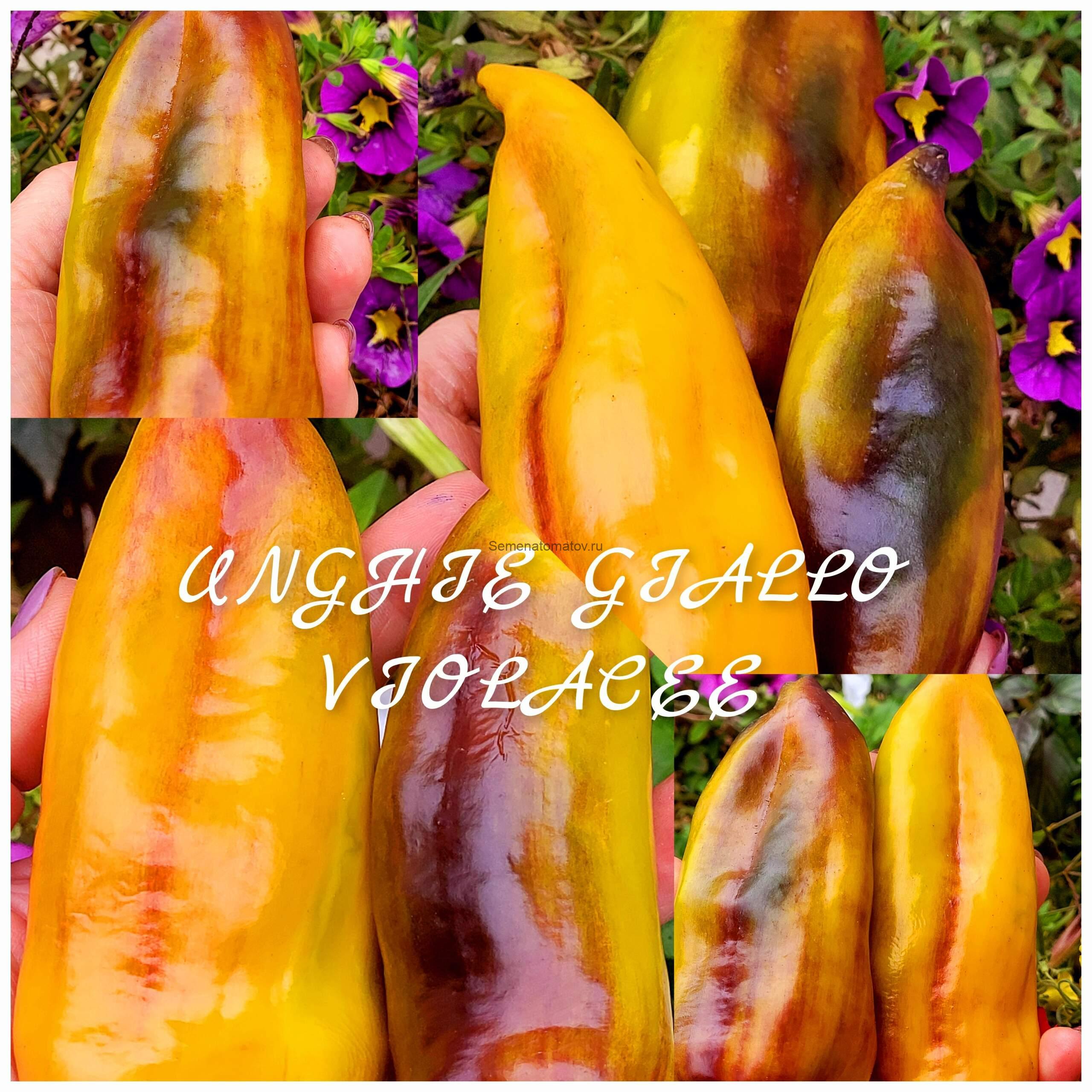 Unghie Giallo Violacee Фиолетово-Желтые Когти — изображение 4