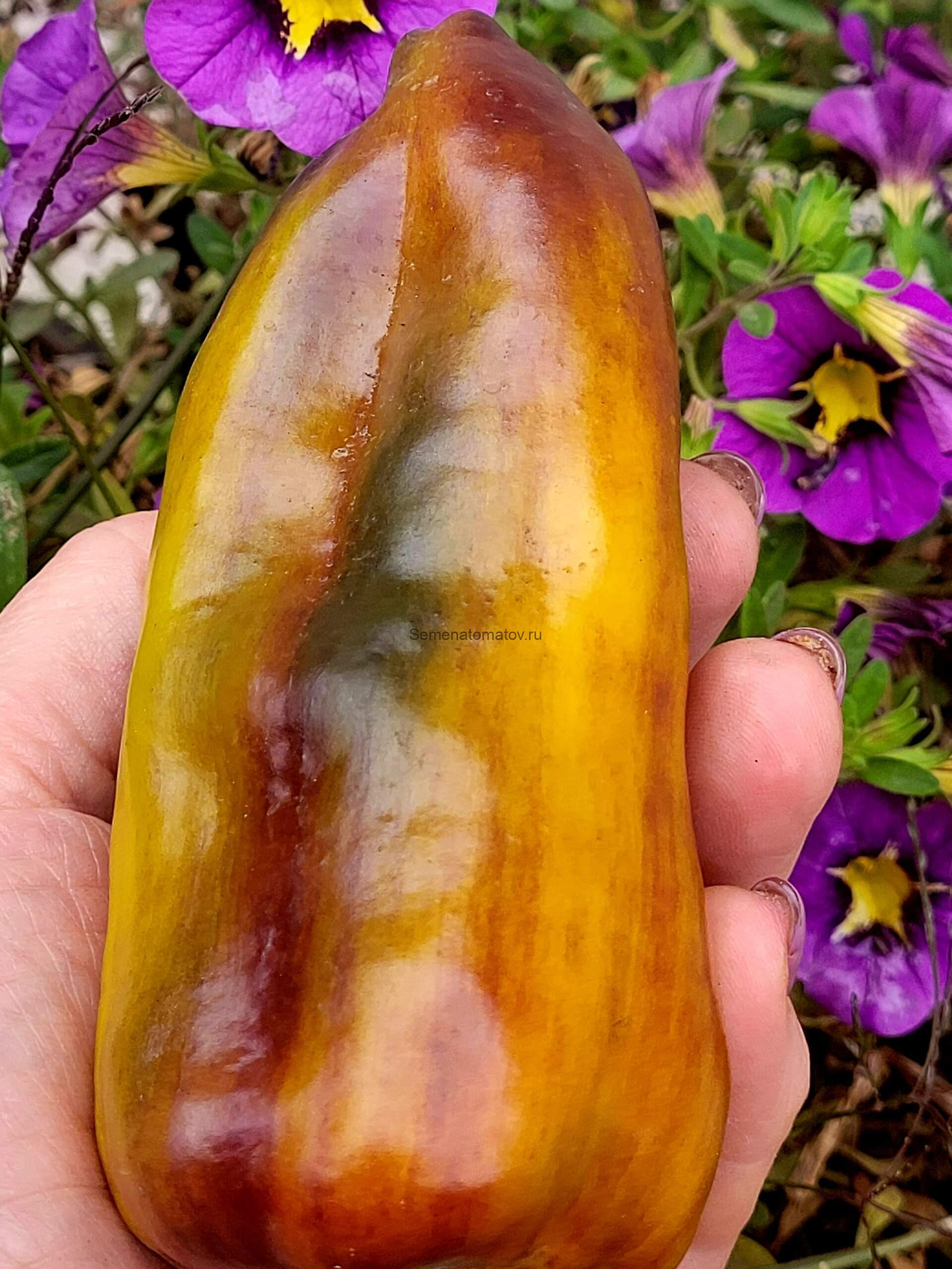 Unghie Giallo Violacee Фиолетово-Желтые Когти — изображение 3