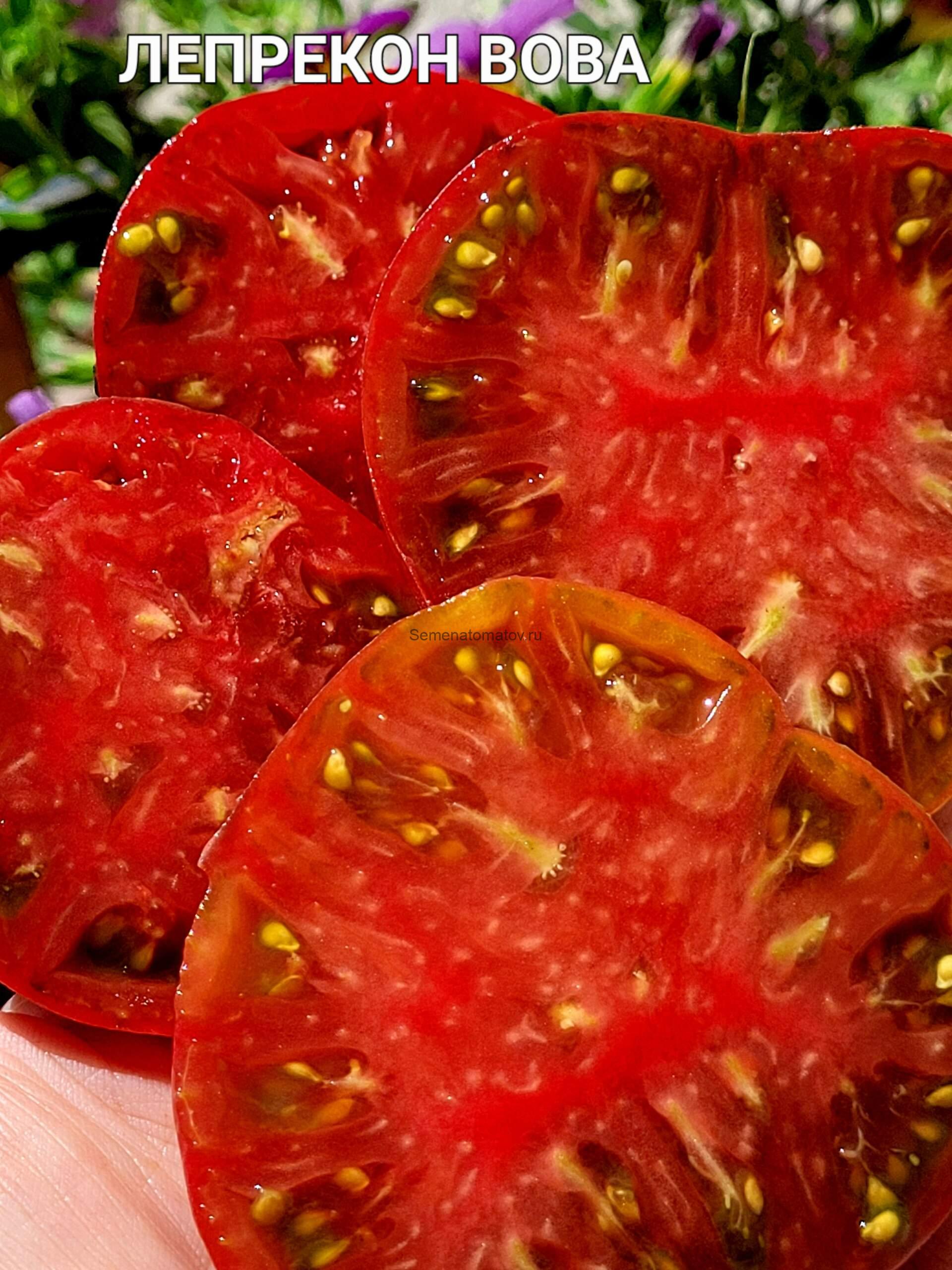 Leprechaun Vova / Лепрекон Вова 1м среднеспелый 100-200гр — изображение 2