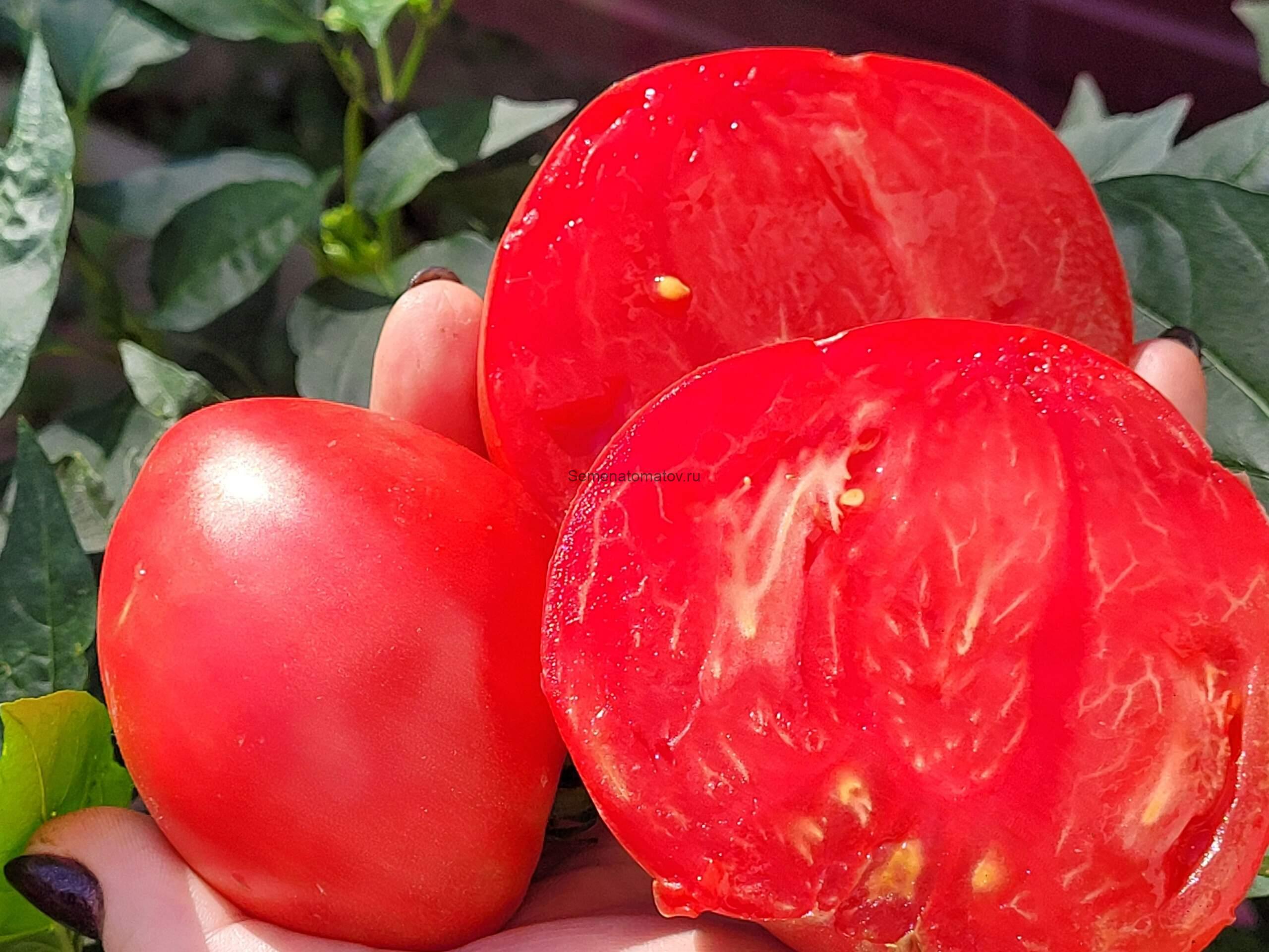 Ludwig (Людвиг) — изображение 3