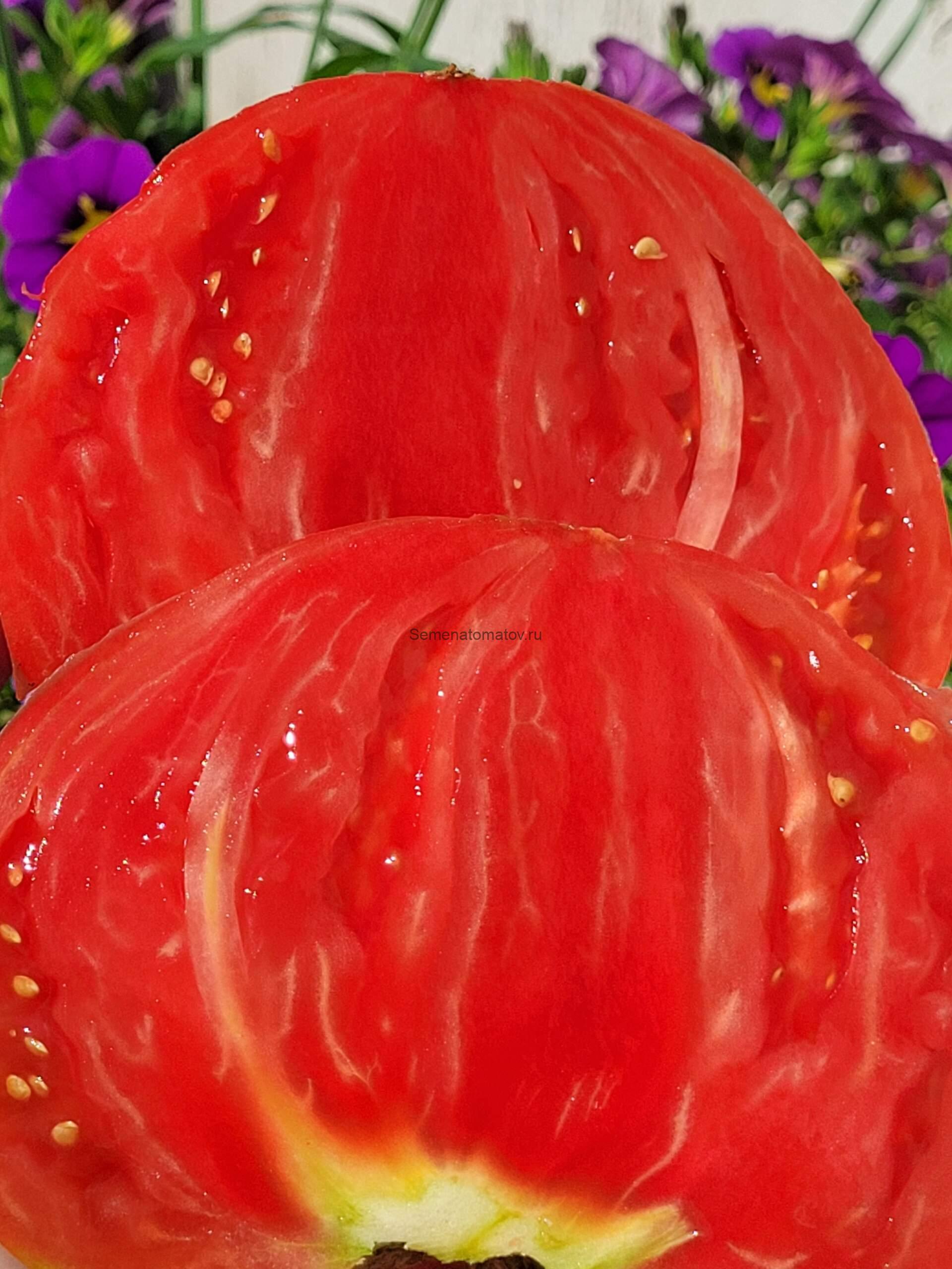 Ludwig (Людвиг) — изображение 4