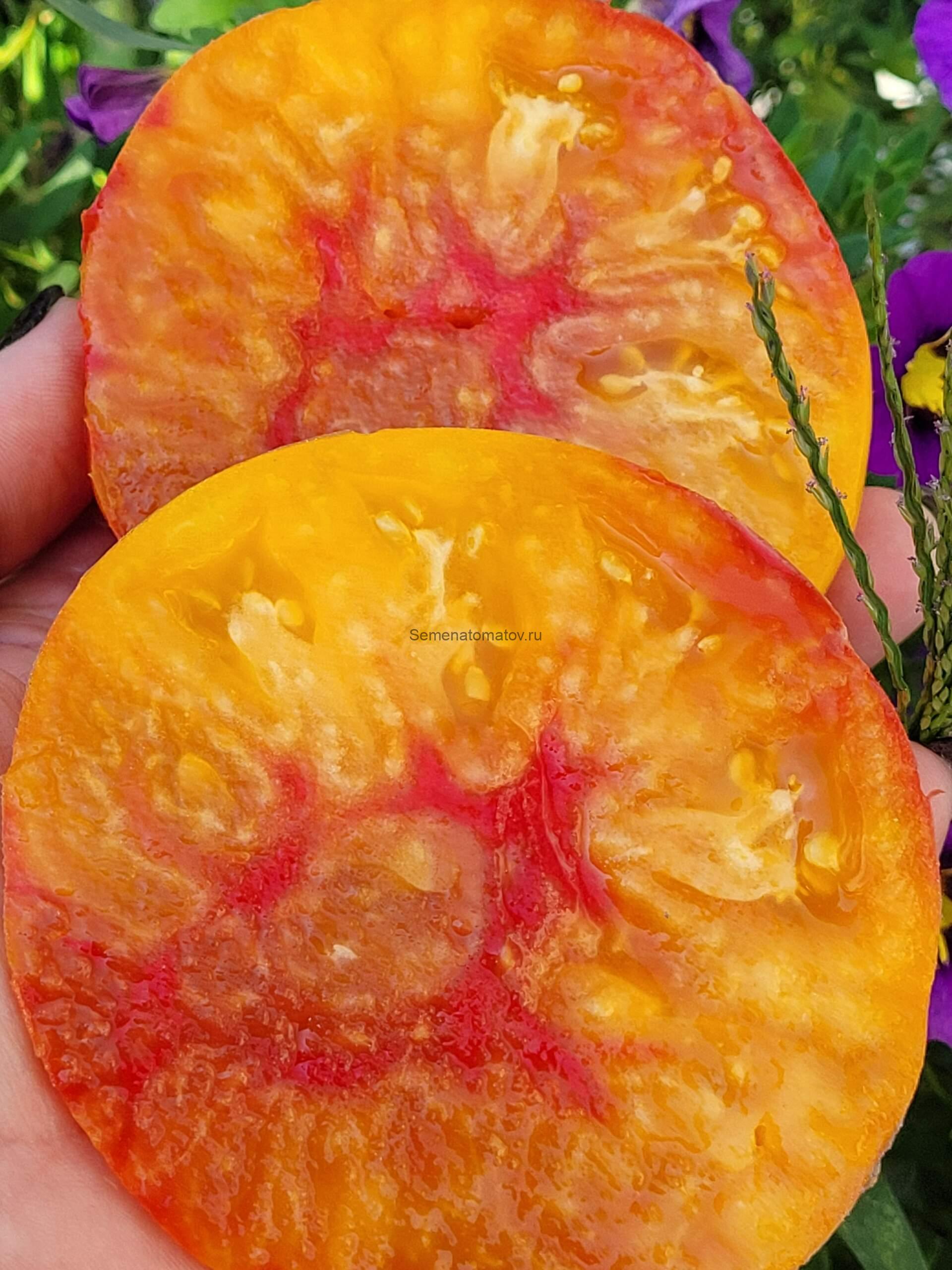 Marie (Мари) — изображение 2