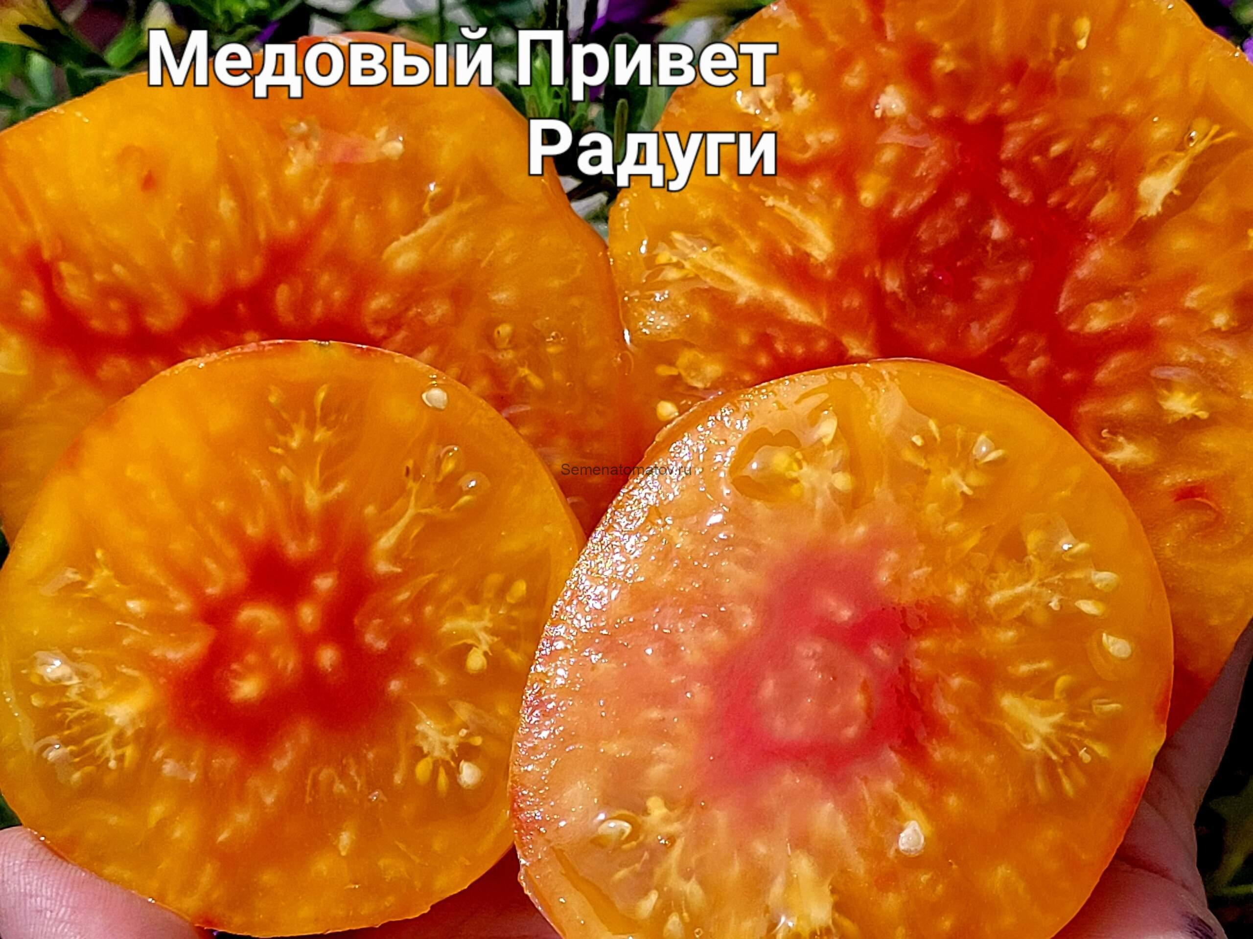 Медовый Привет Радуги ( Mile di Saluto Arkobaleno, Италия) — изображение 2