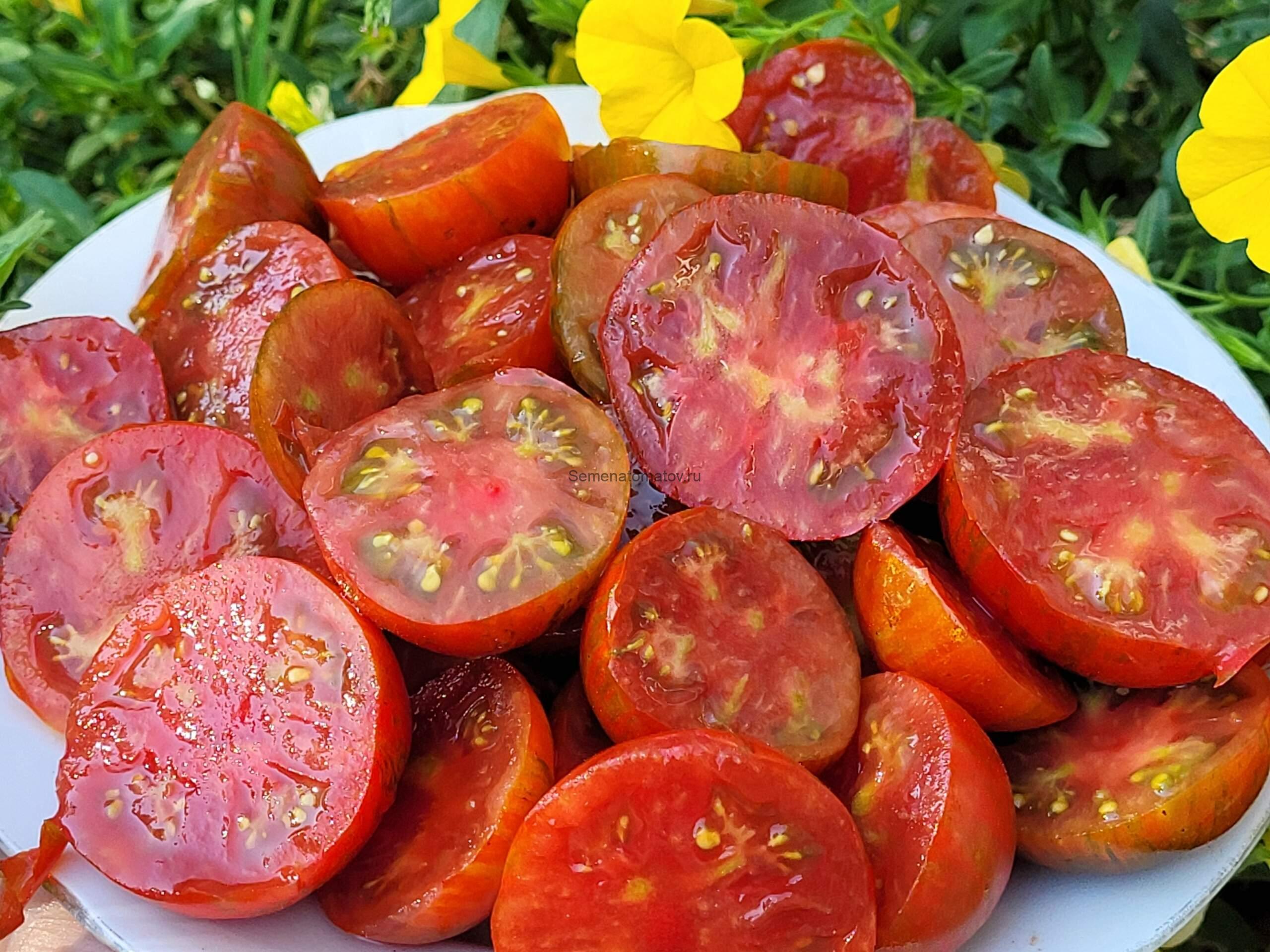 Dark Stripe Micro Tomato Микро Томат в Тёмную полоску — изображение 2