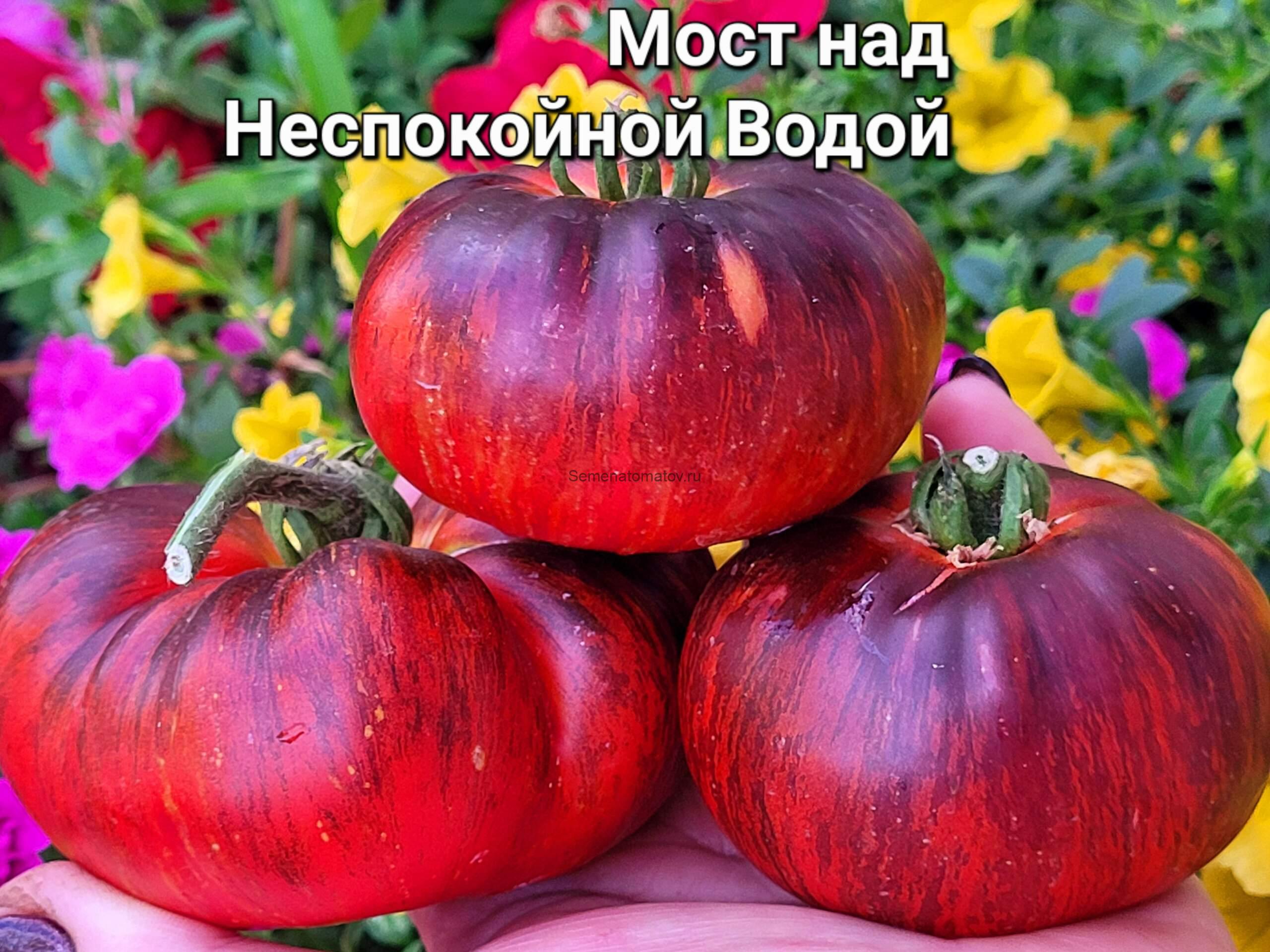 Мост над Неспокойной Рекой ( Bridge Over A Troubled River)