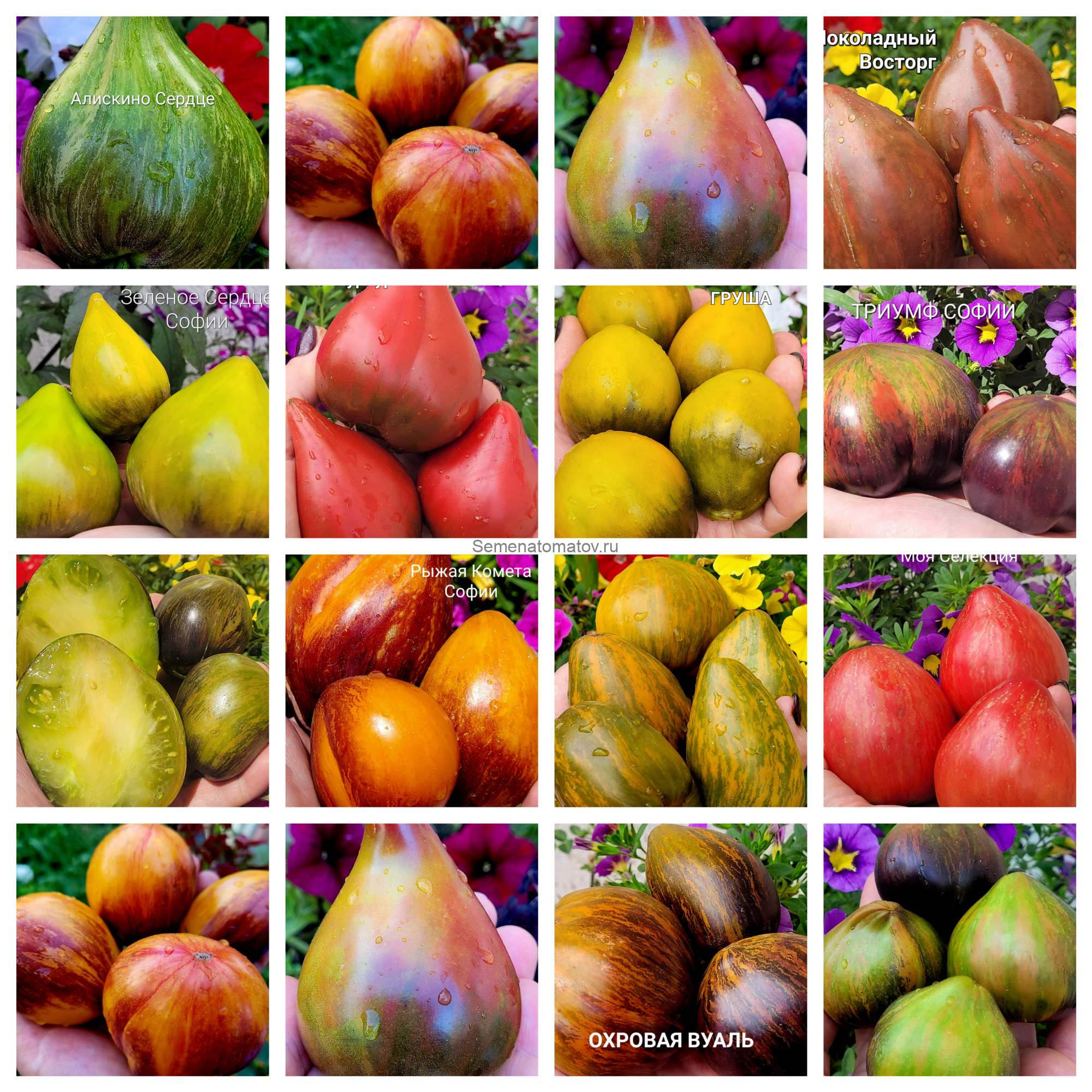 Набор №2 Моя Селекция