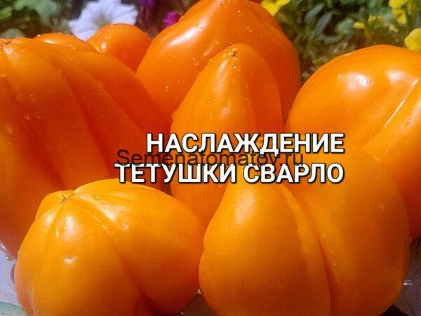 Наслаждение Тётушки Сварло оранжевый ( Англия)