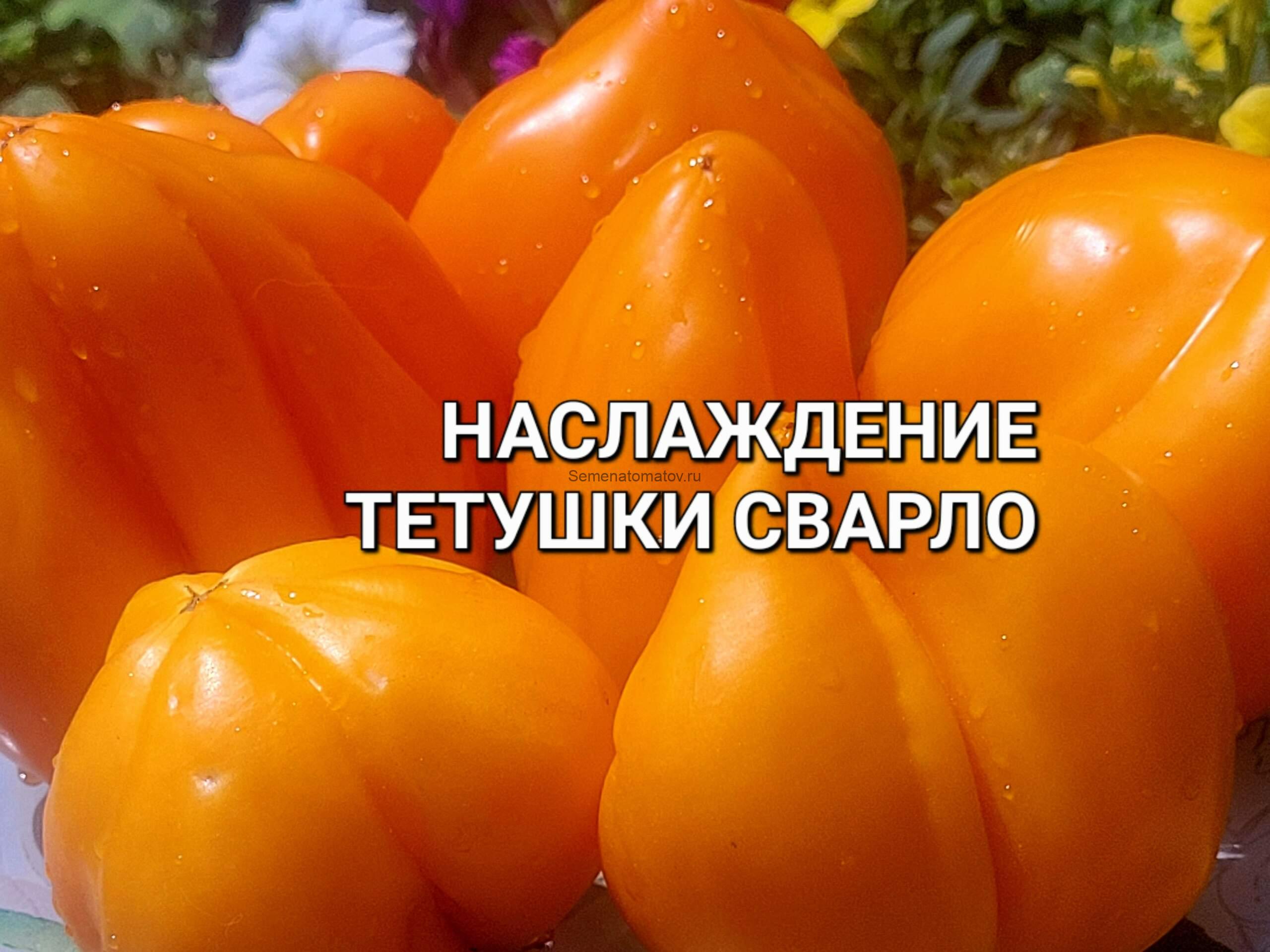 Наслаждение Тётушки Сварло оранжевый ( Англия)