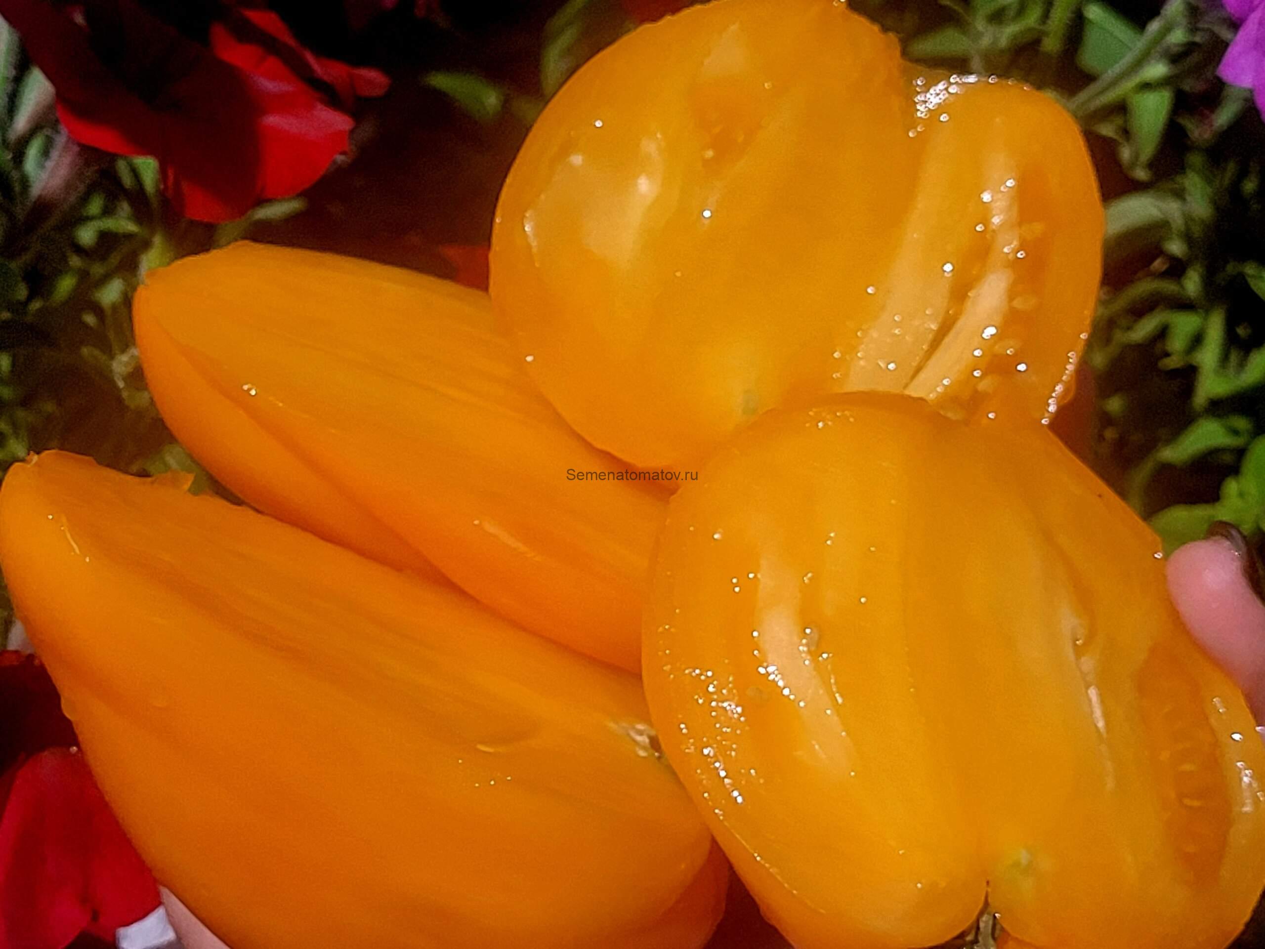 Наслаждение Тётушки Сварло оранжевый ( Англия) — изображение 3