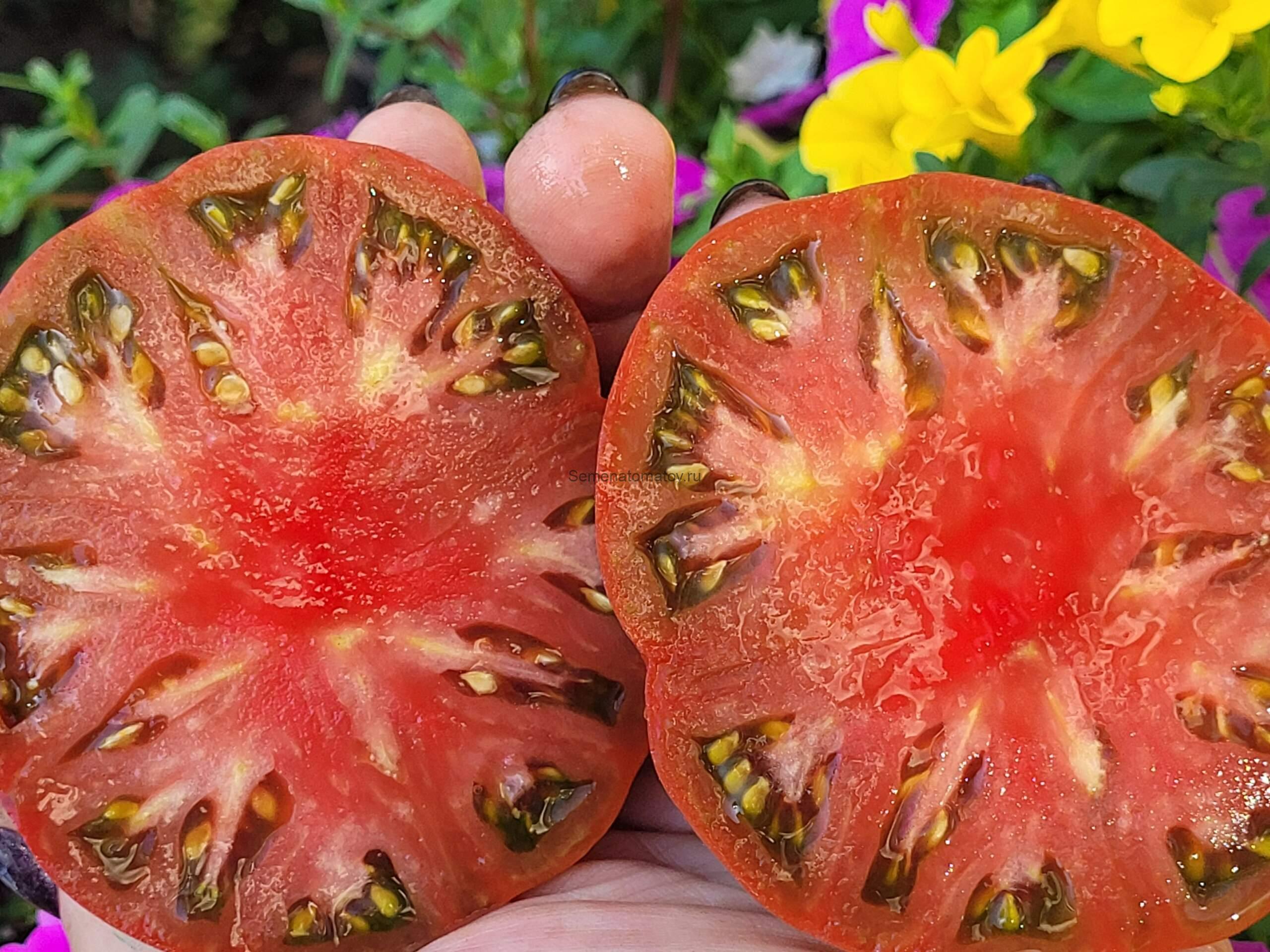 Not Purple Strawberry (Не Фиолетовая клубника) — изображение 2