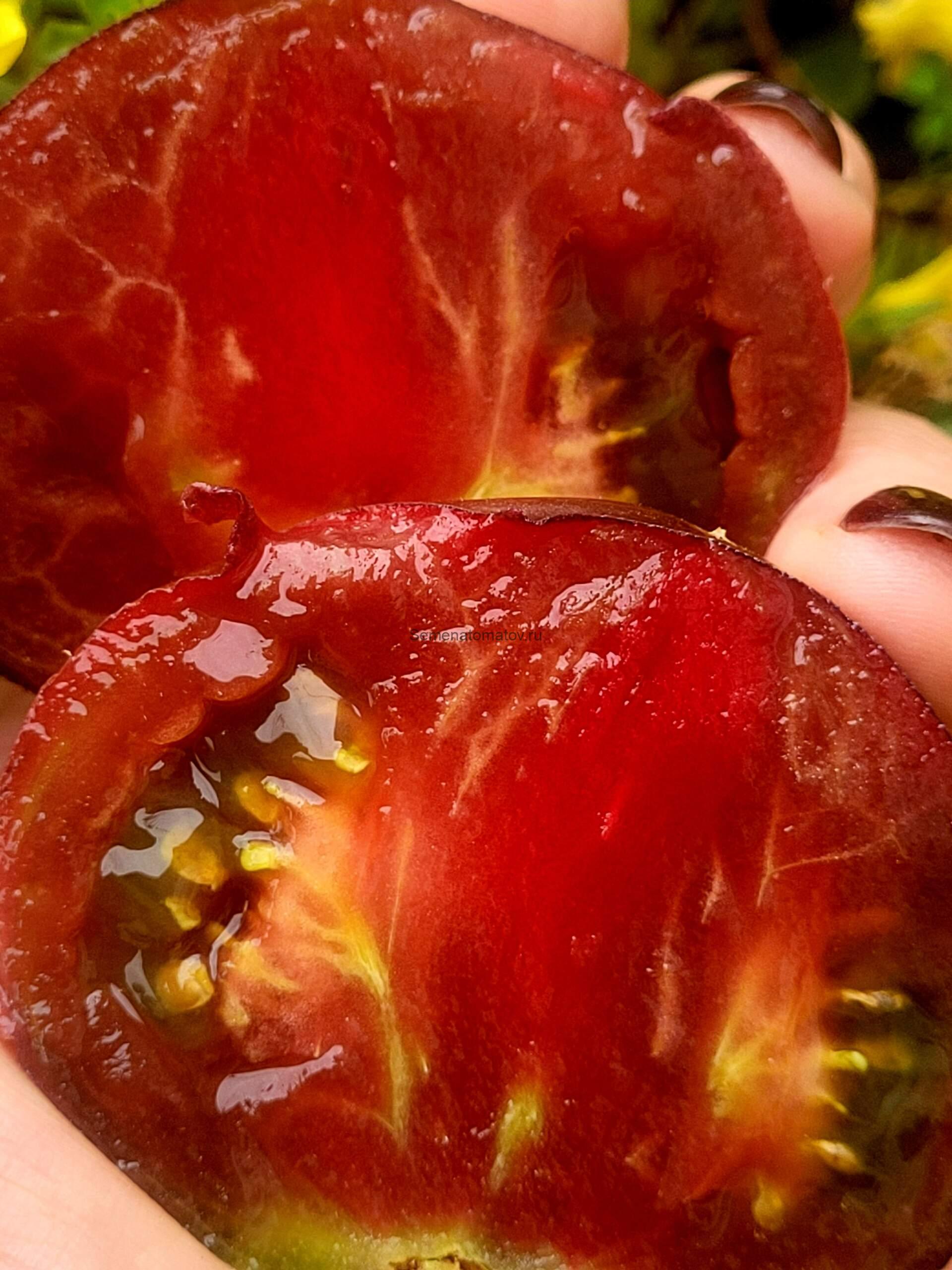 Unknown brilliance / Неизвестный блеск 1.5м.Среднепоздний200-300+гр — изображение 2