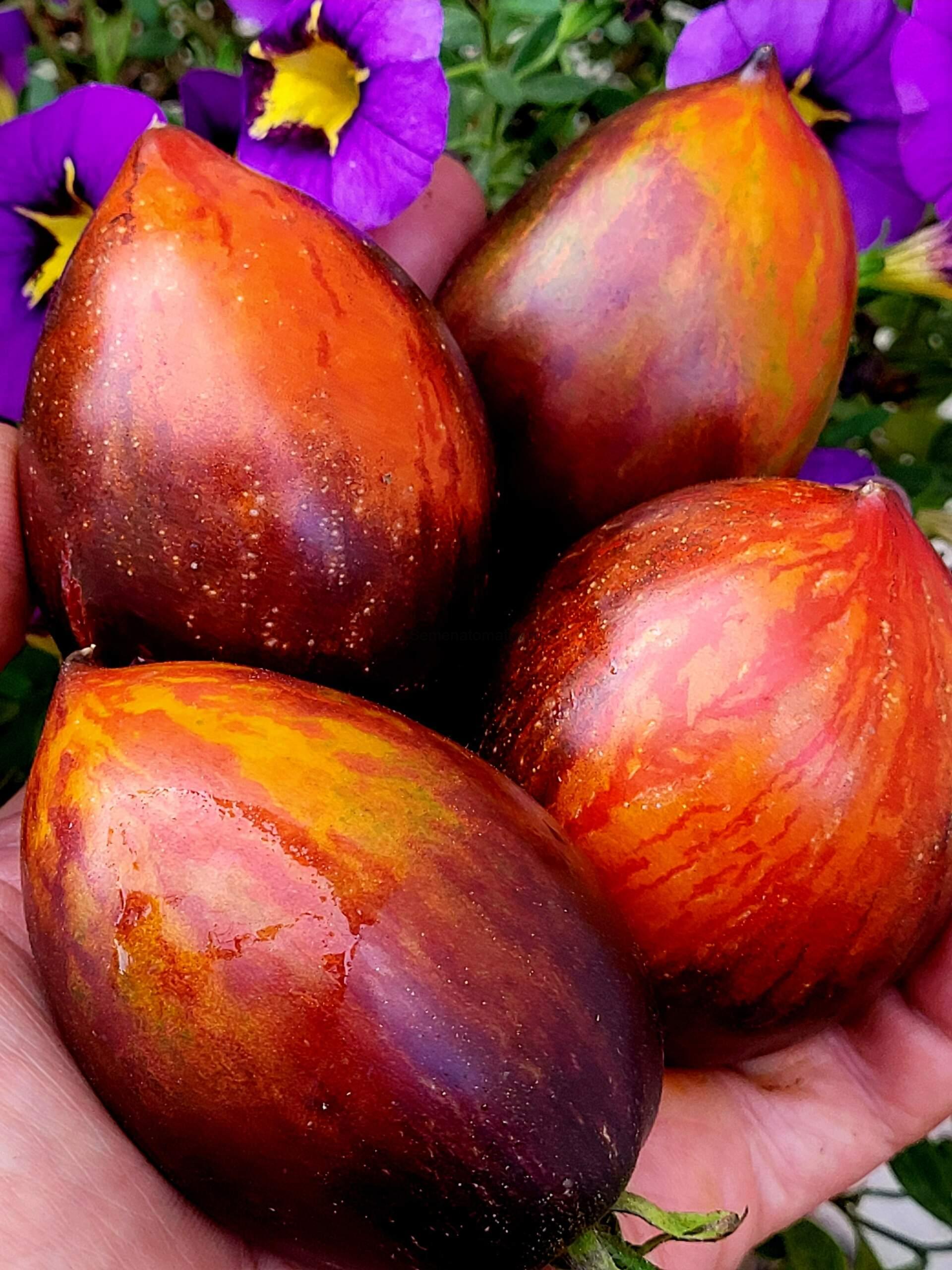 Принцесса готики (Princess of gotic) — изображение 2