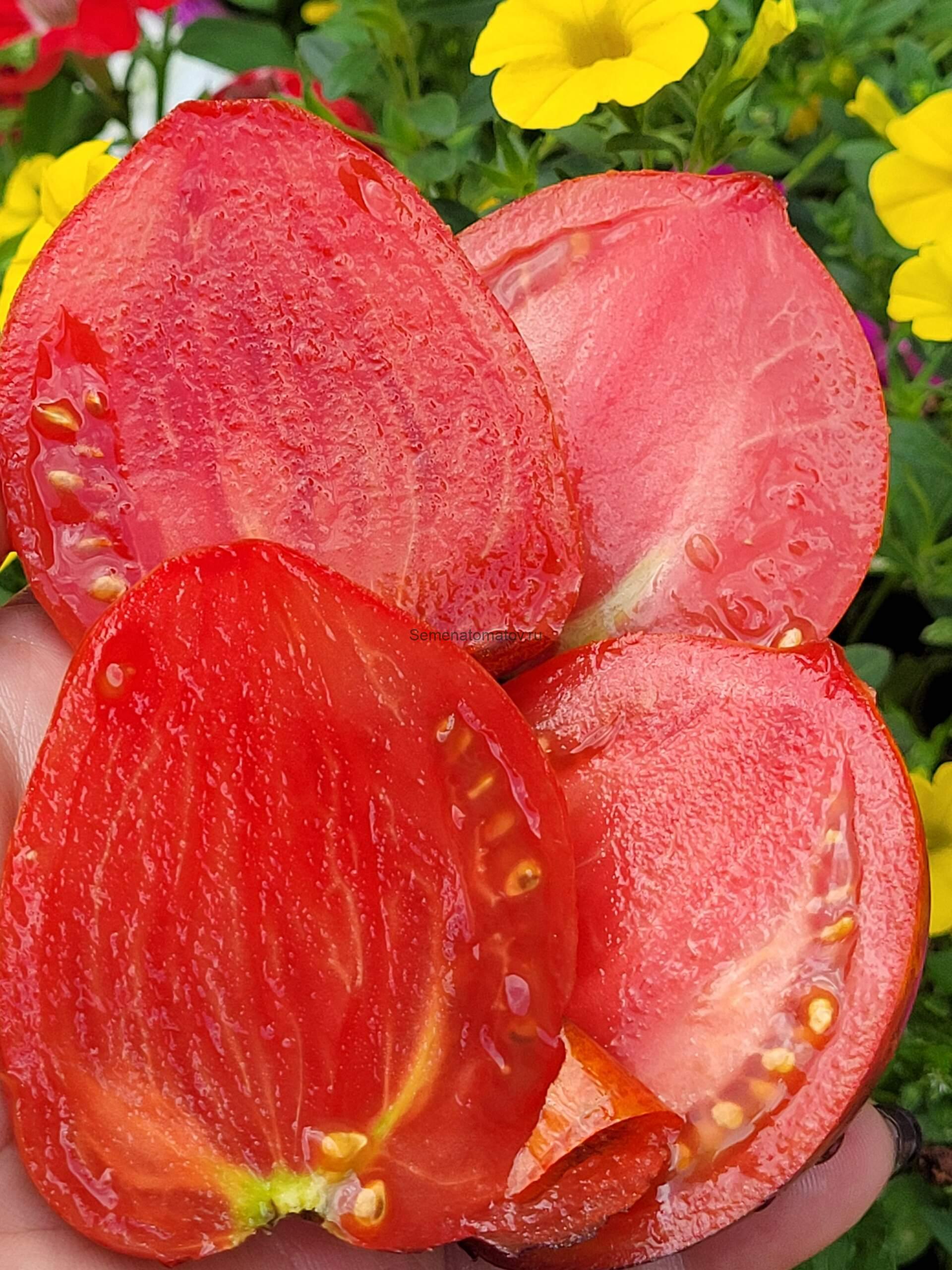 Принцесса готики (Princess of gotic) — изображение 3